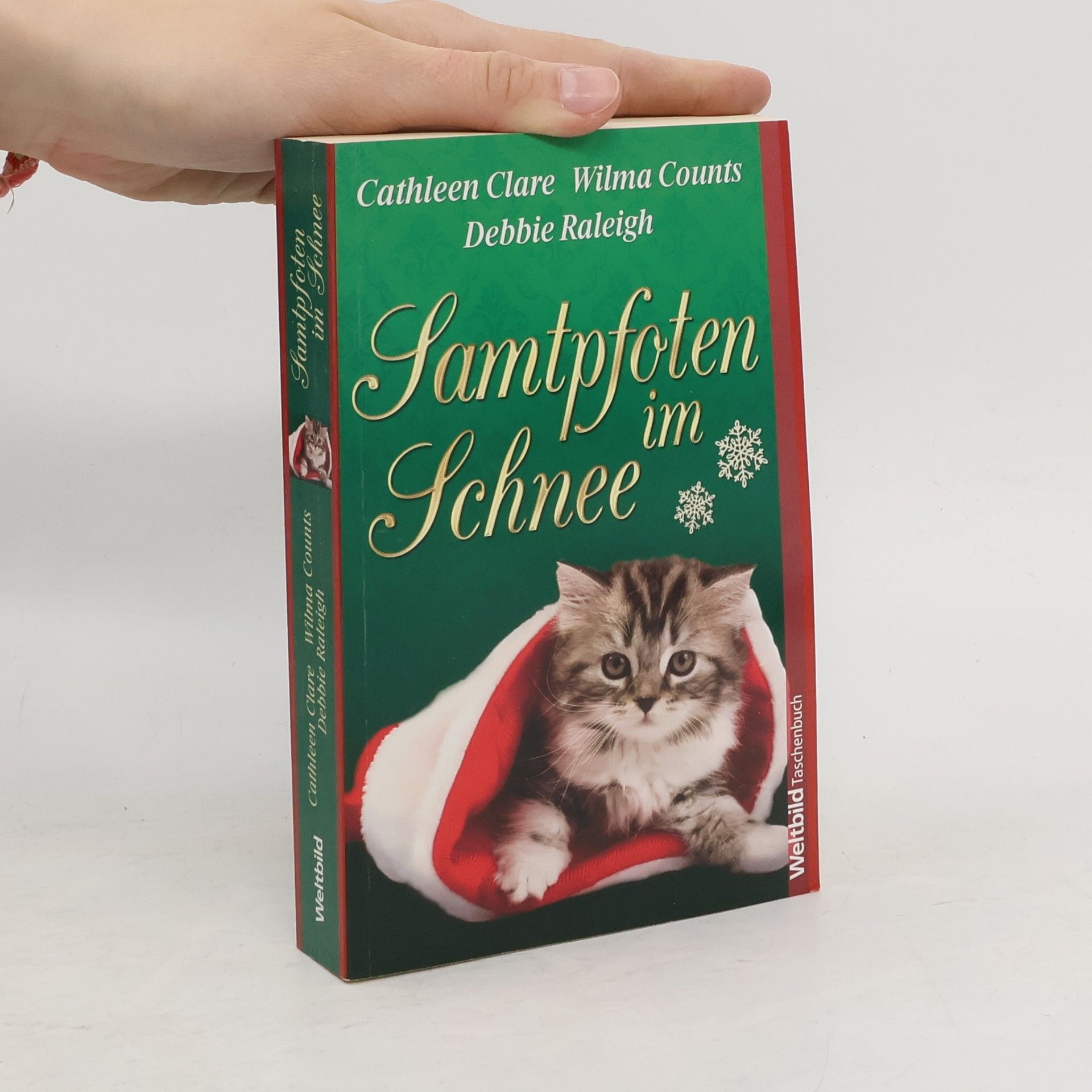 Cathleen Clare Samtpfoten im Schnee