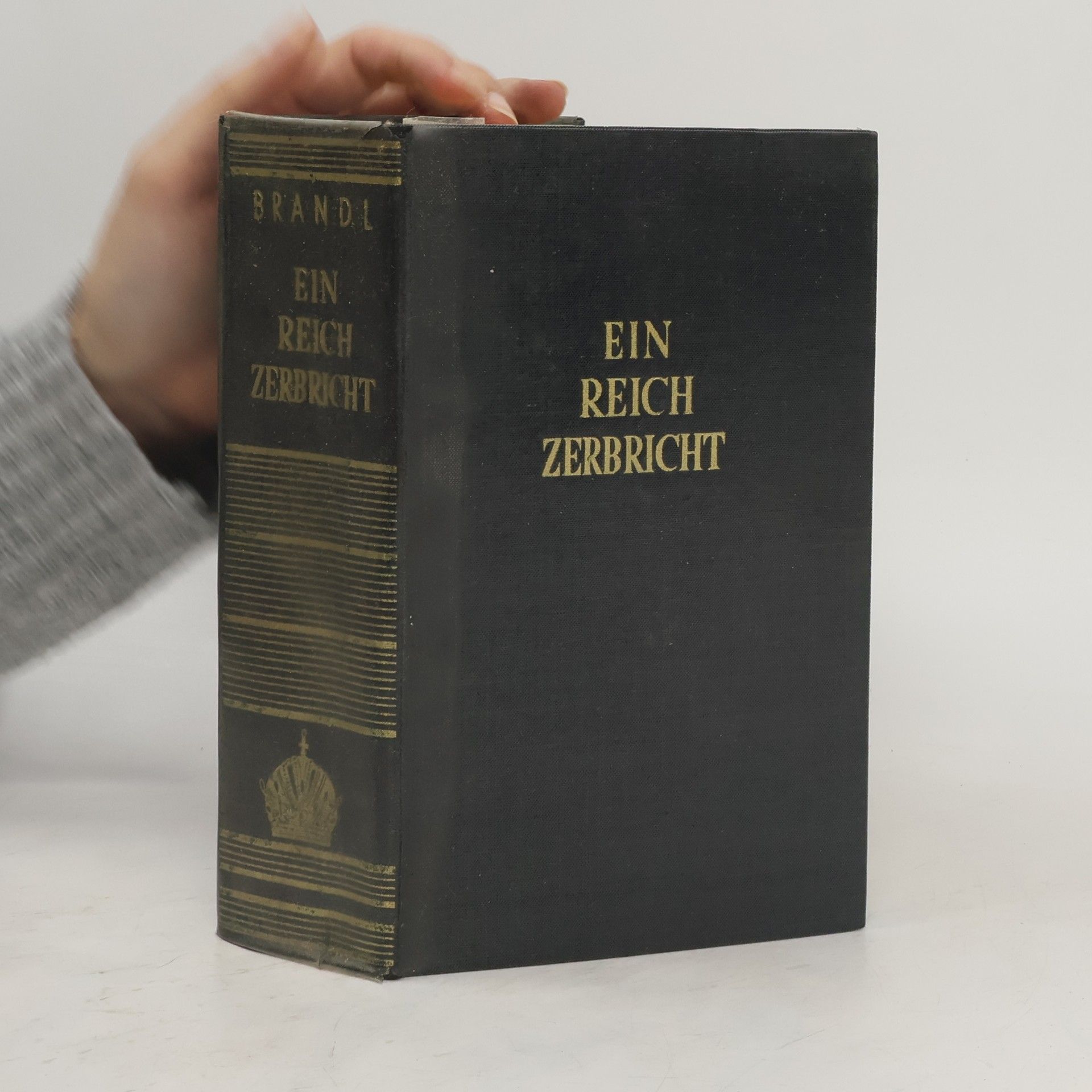 Franz Brandl Ein Reich Zerbricht