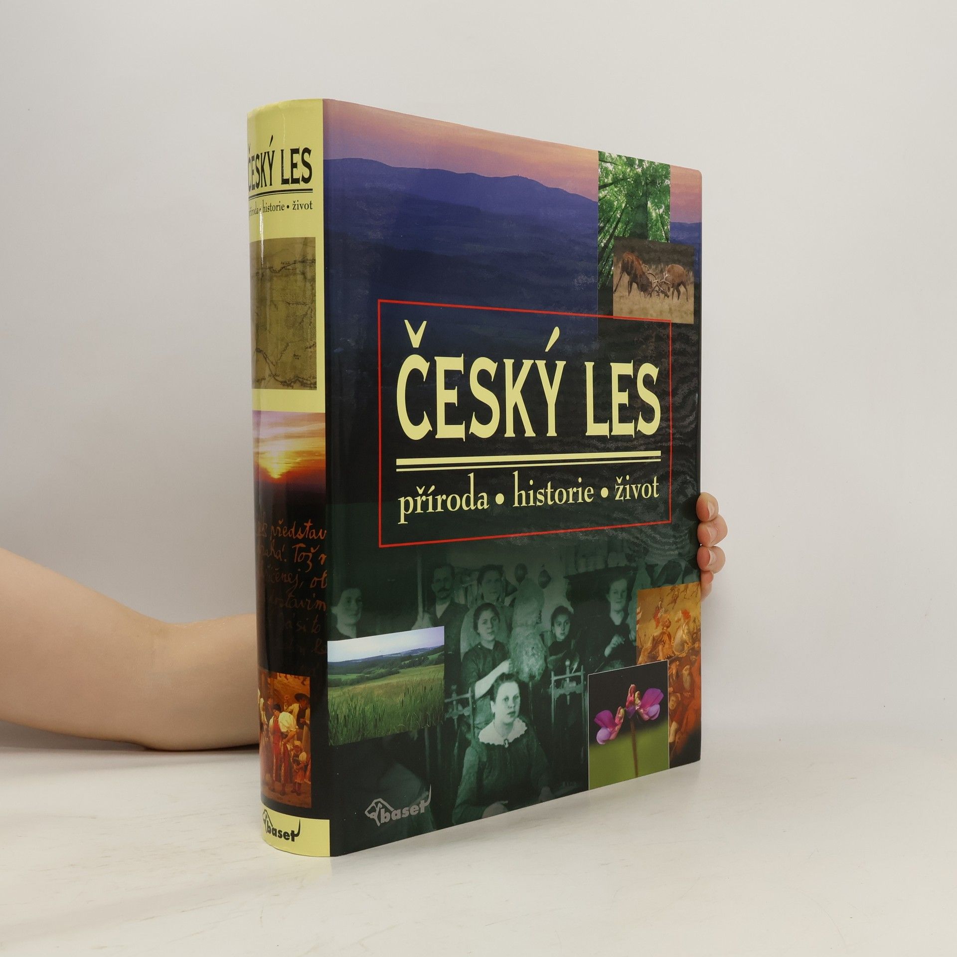Vladislav Dudák Český les