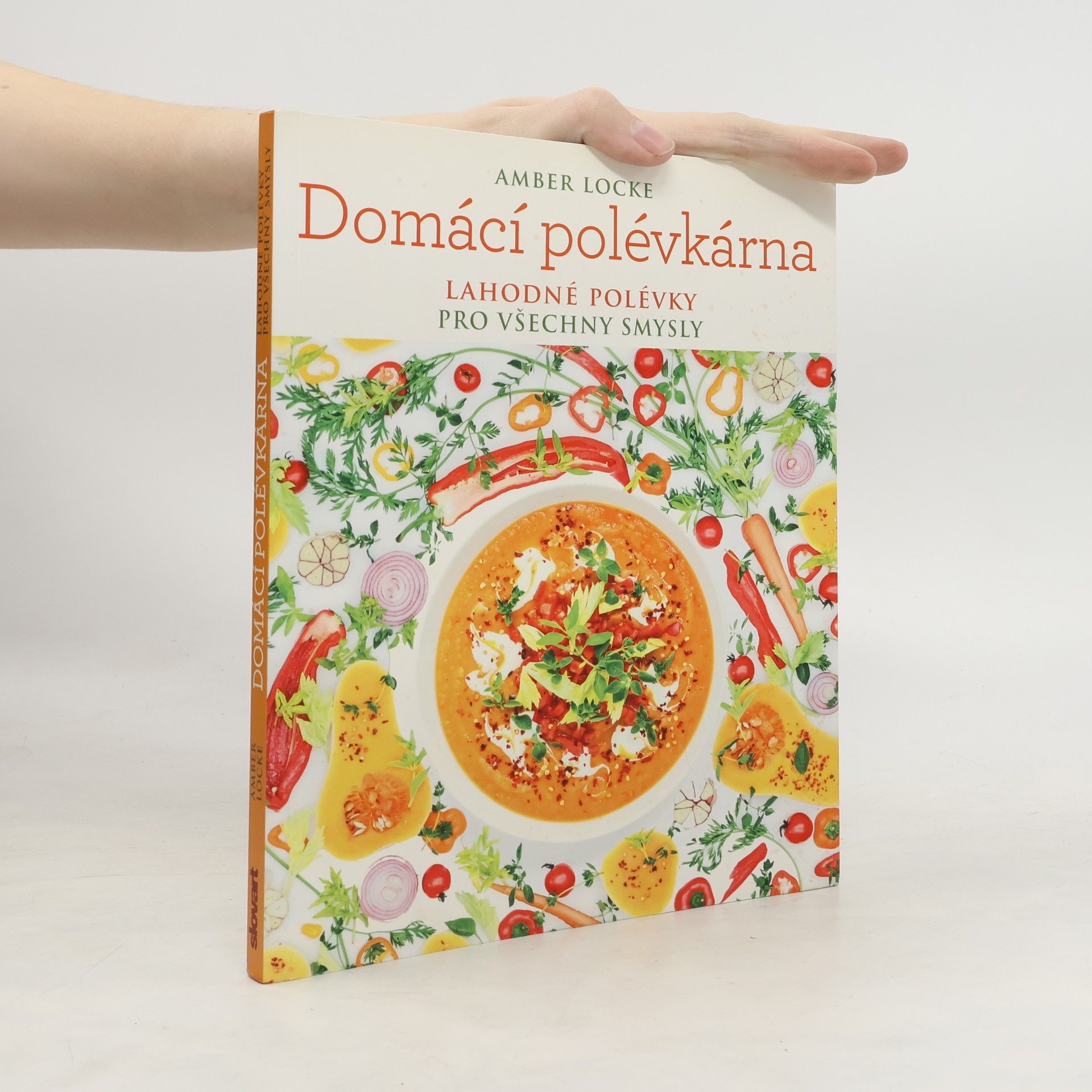 Amber Locke Domácí polévkárna - Lahodné polévky pro všechny smysly