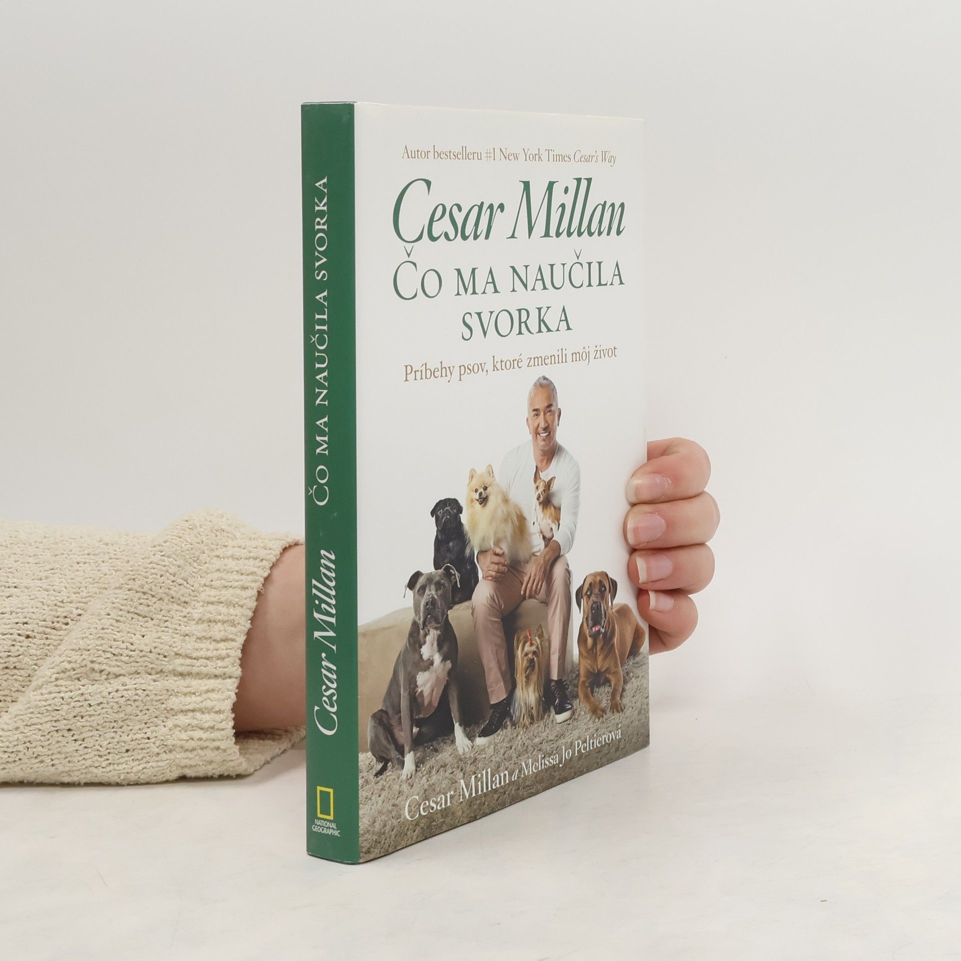Cesar Millan Čo ma naučila svorka