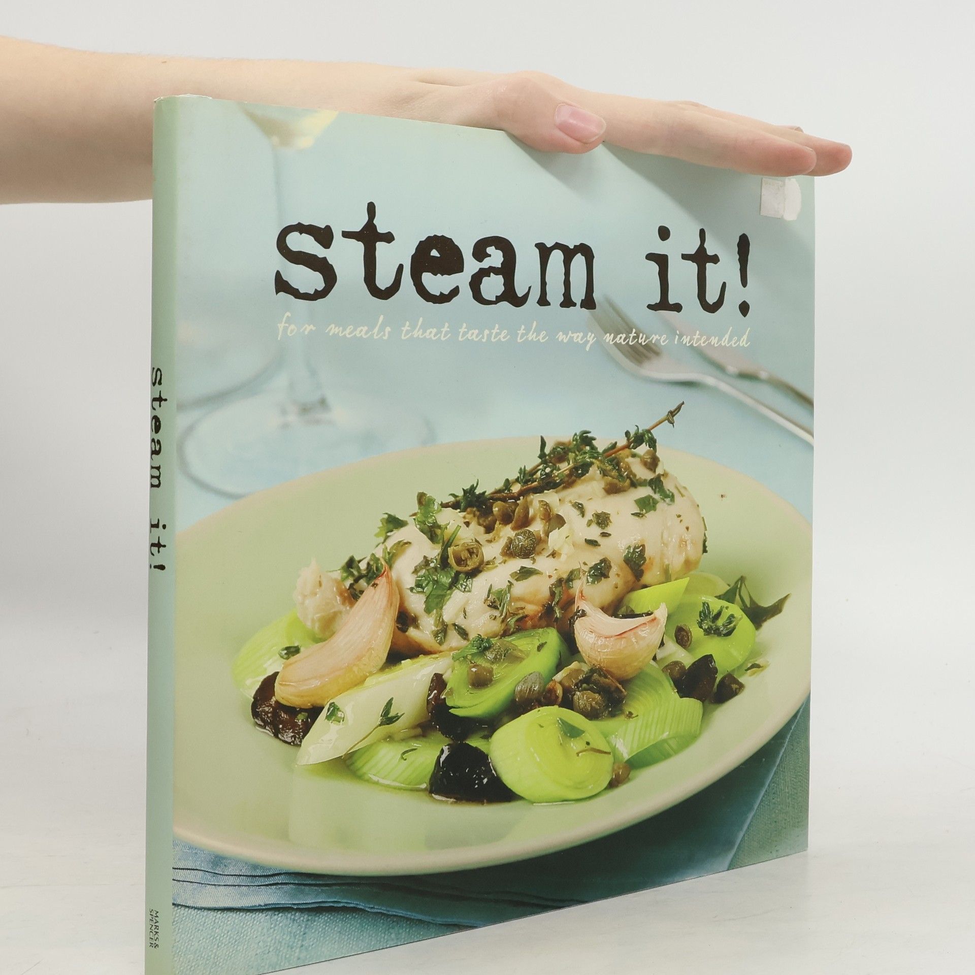 Autorenkollektiv Steam It!