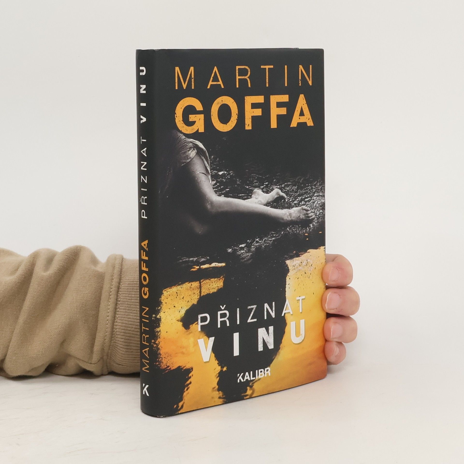 Martin Goffa Přiznat vinu
