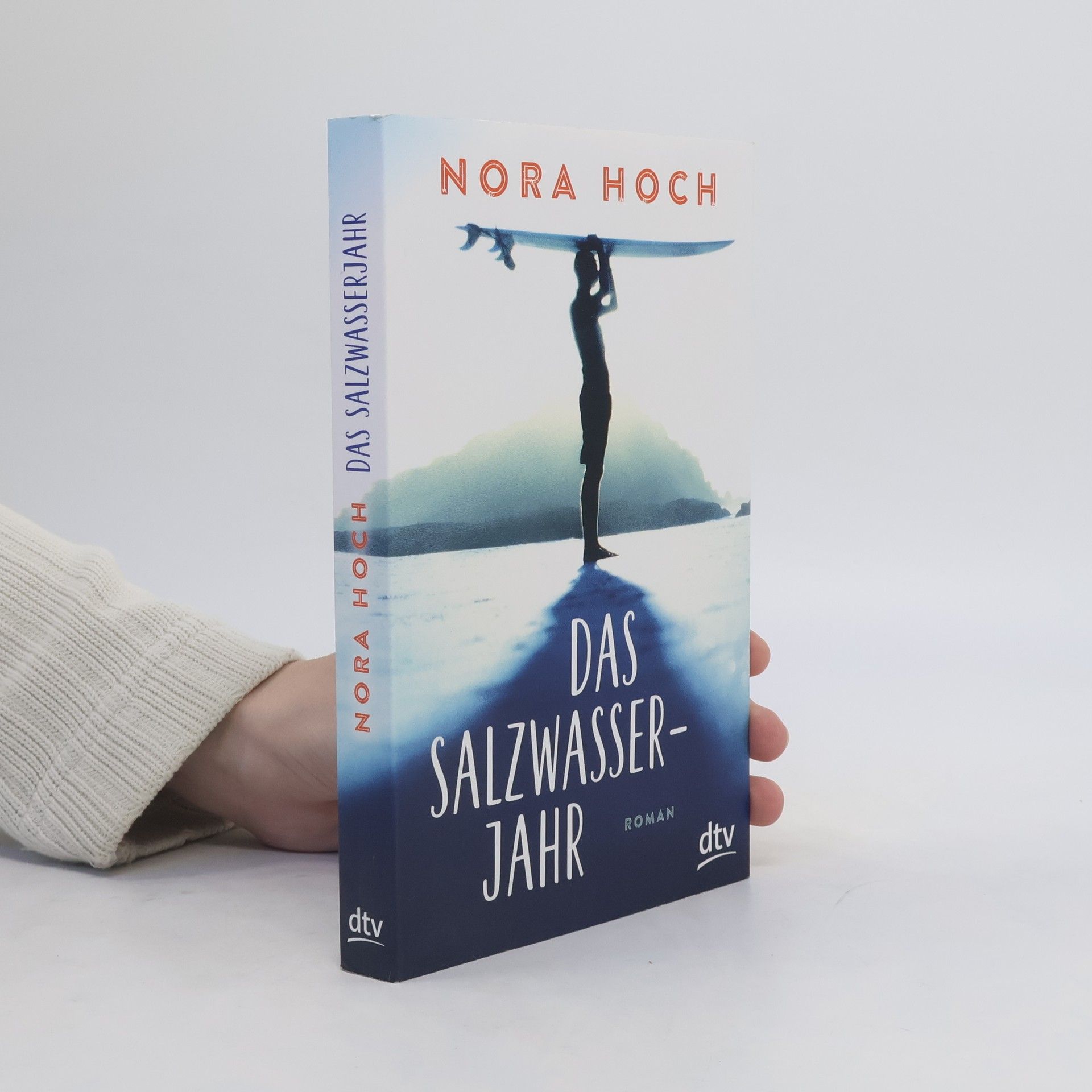 Nora Hoch Das Salzwasserjahr
