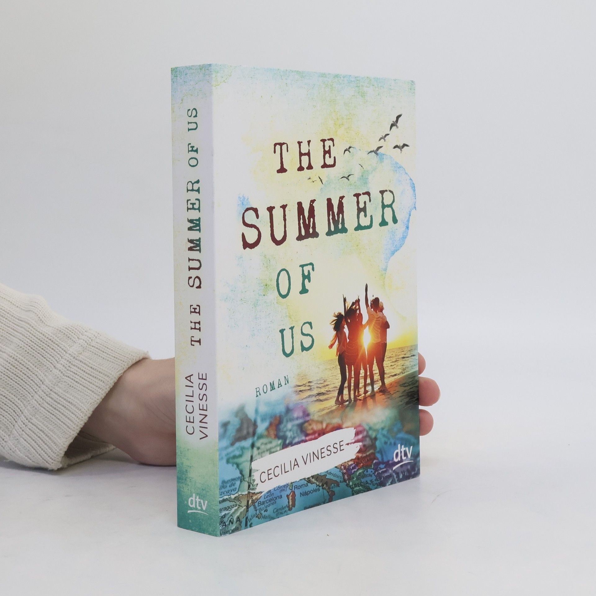 Cecilia Vinesse The Summer of Us. Roman