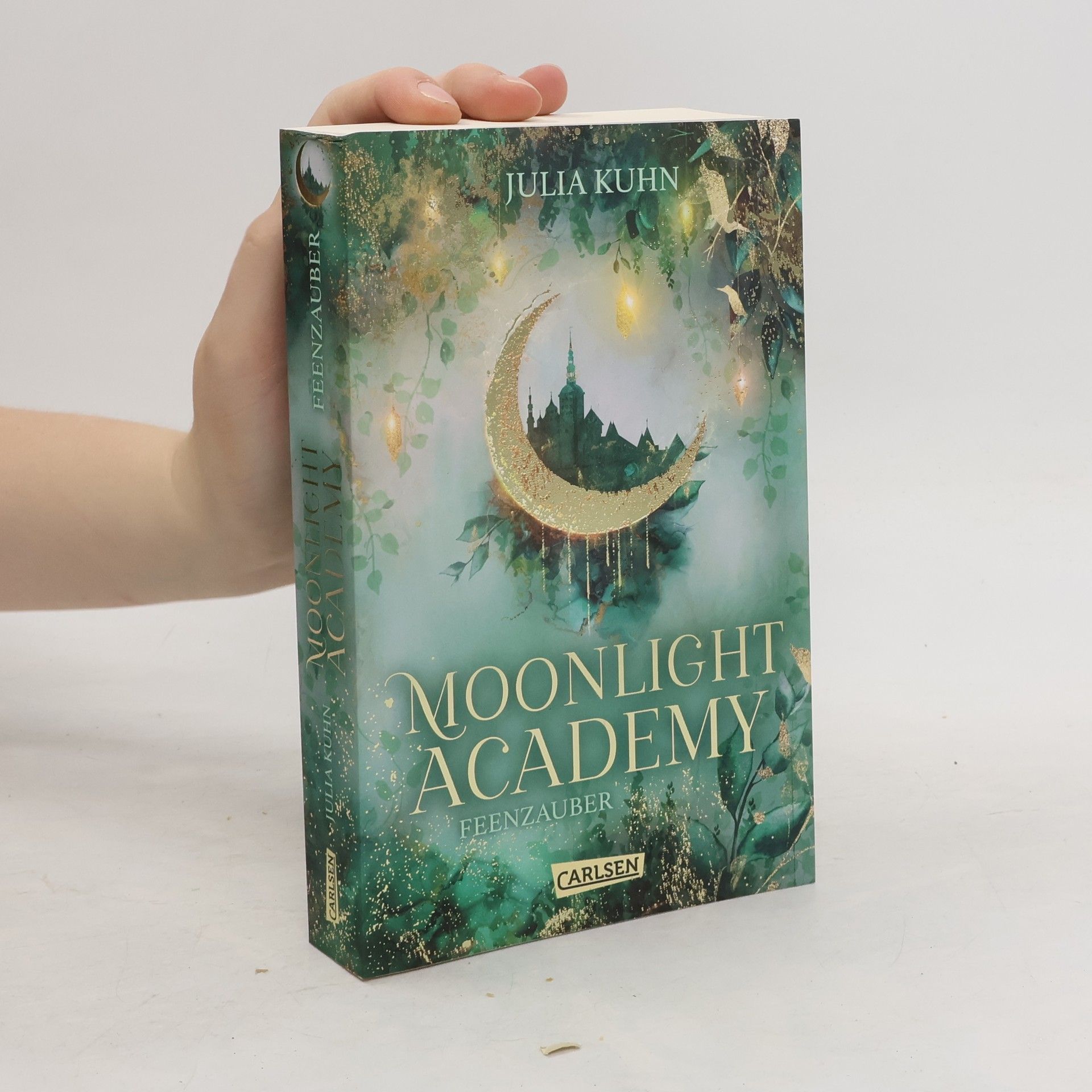 Julia Kuhn Moonlight Academy. Feenzauber