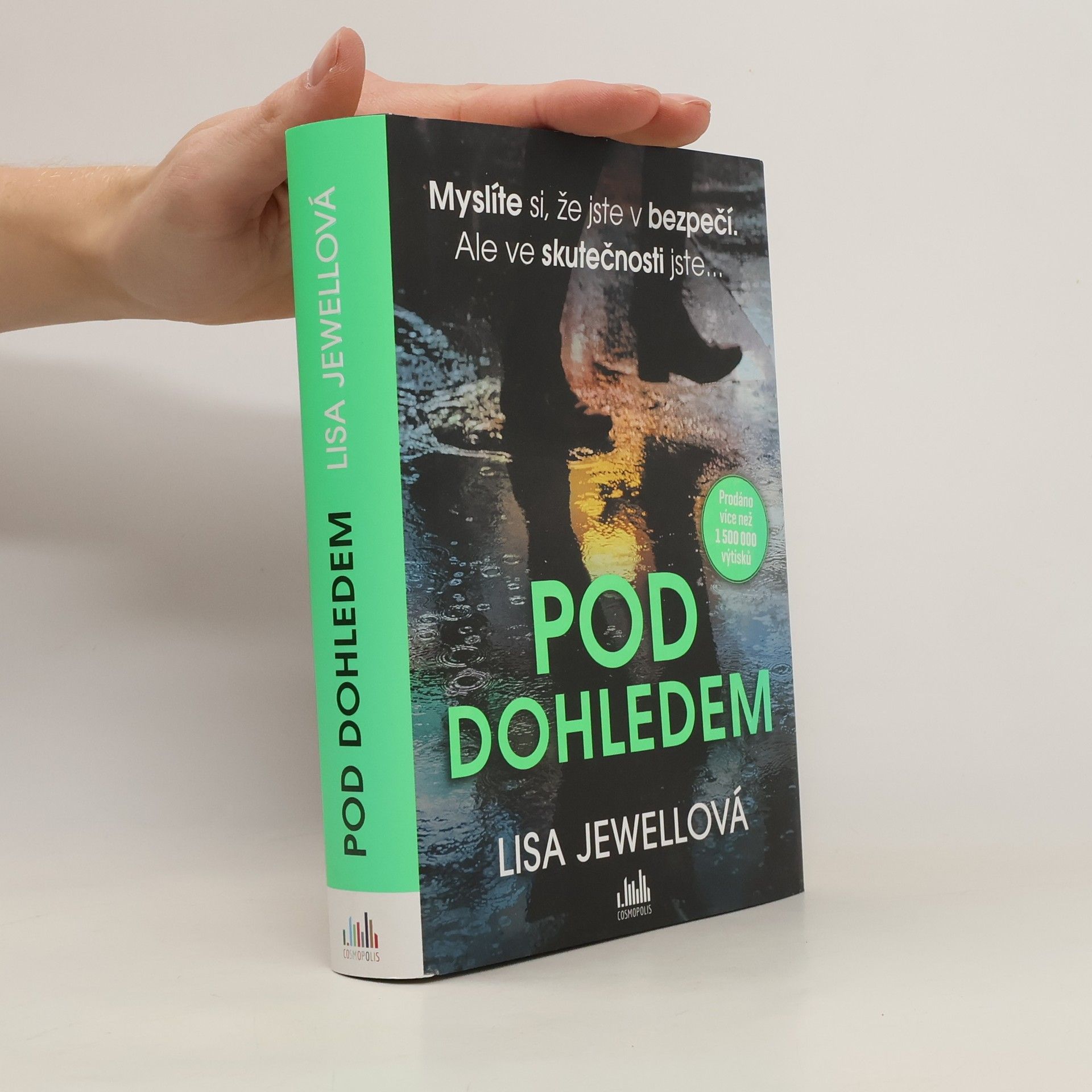 Lisa Jewell Pod dohledem