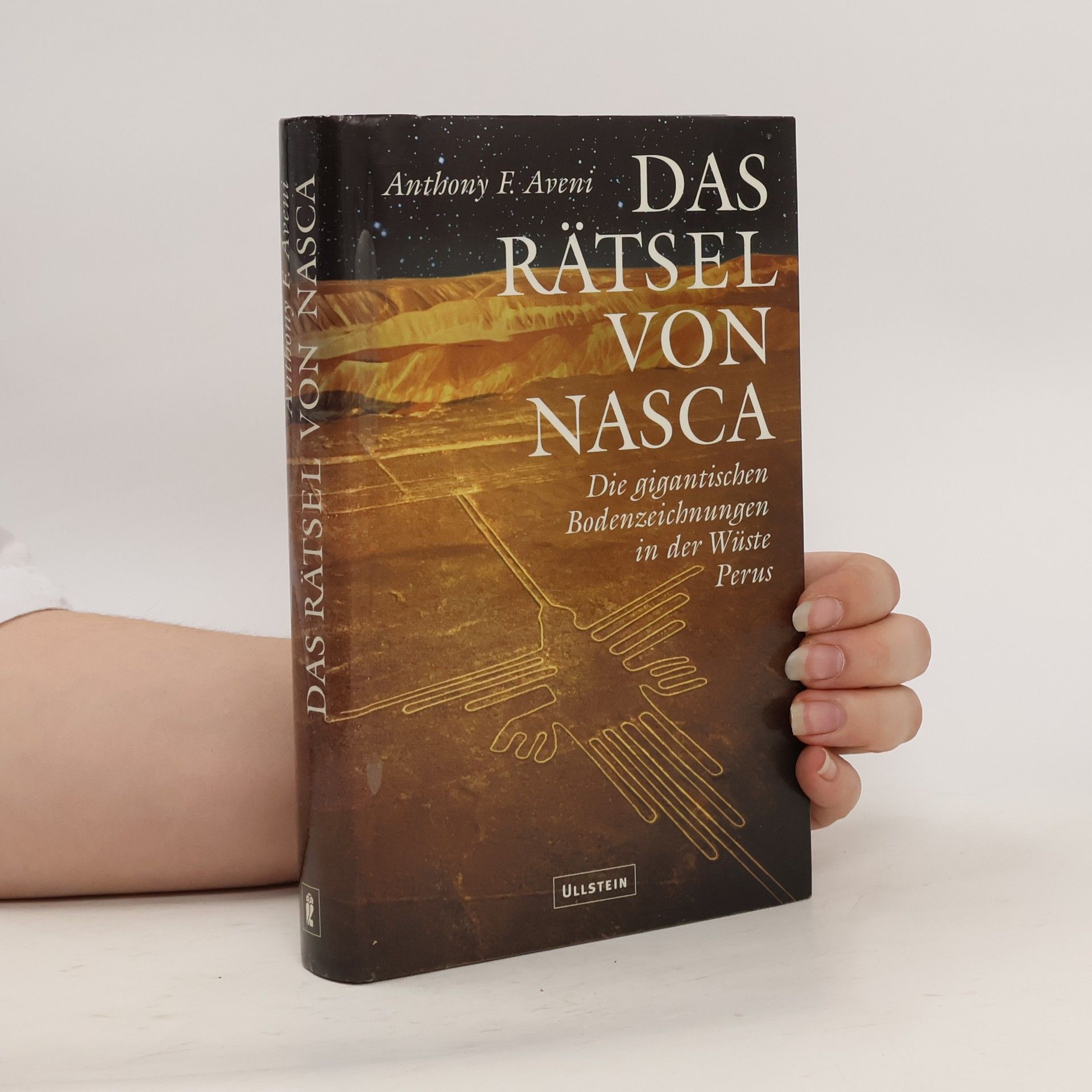 Anthony Aveni Das Rätsel von Nasca