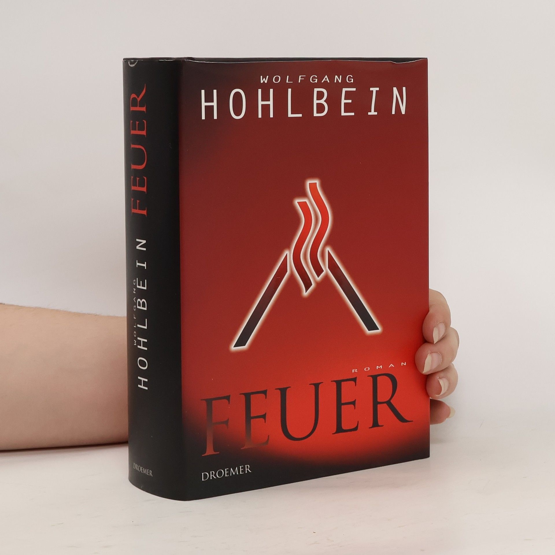 Wolfgang Hohlbein Feuer