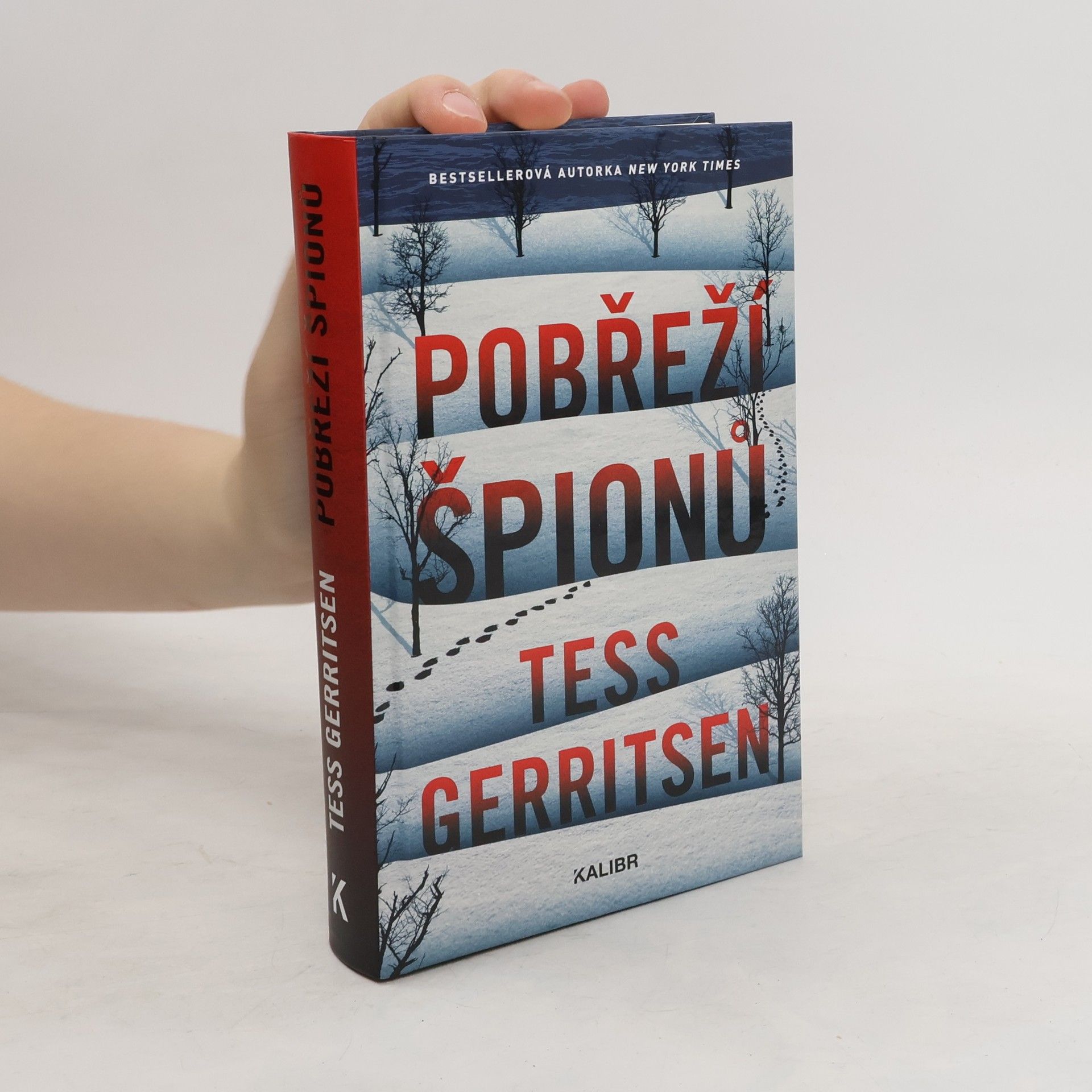 Tess Gerritsen Pobřeží špionů