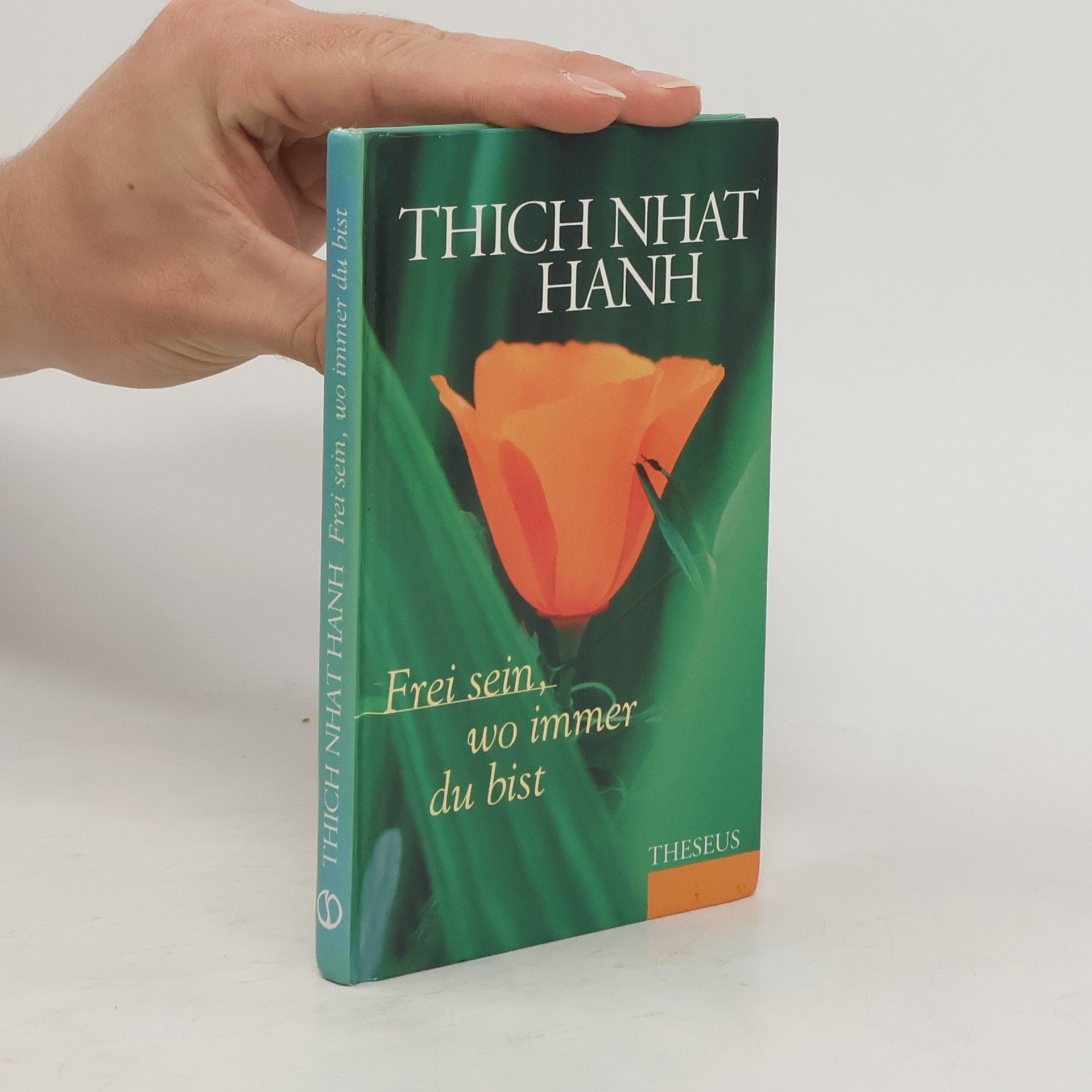 Hạnh Nhat Frei sein, wo immer du bist