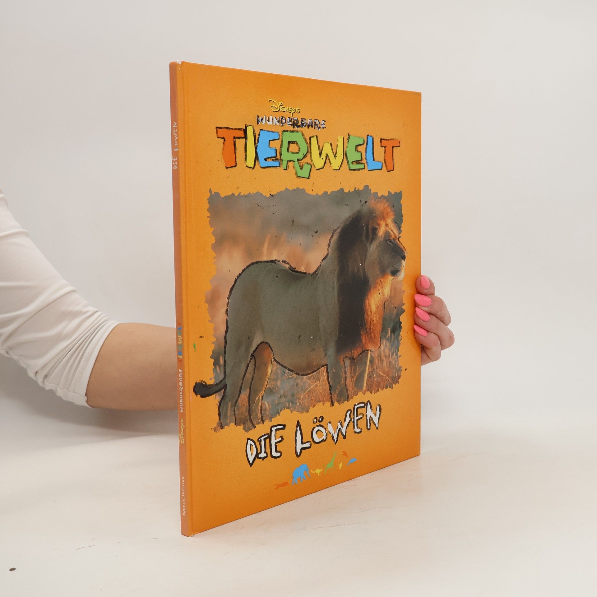 Collectif d'auteurs Wunderbare Tierwelt. Die Löwen