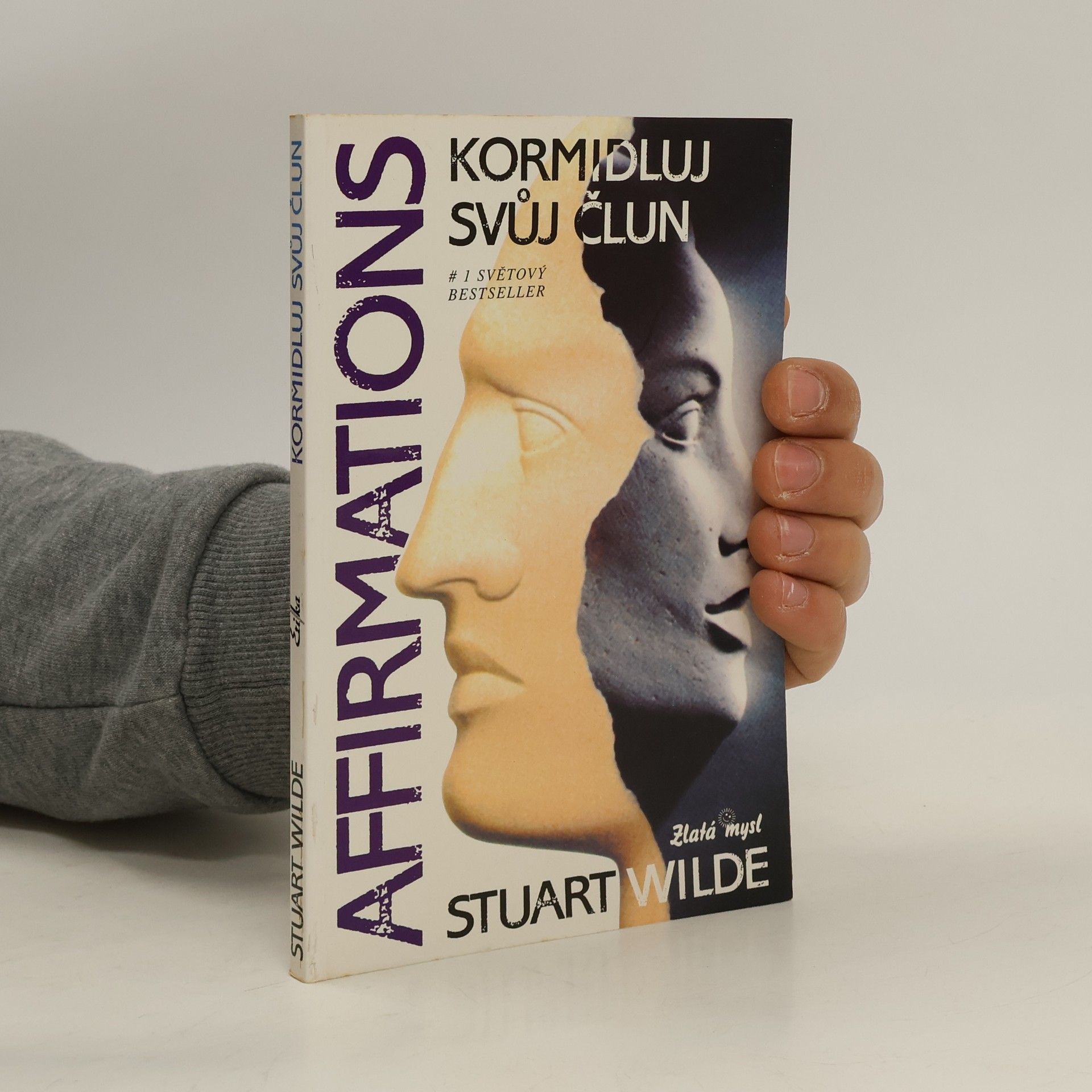 Stuart Wilde Kormidluj svůj člun