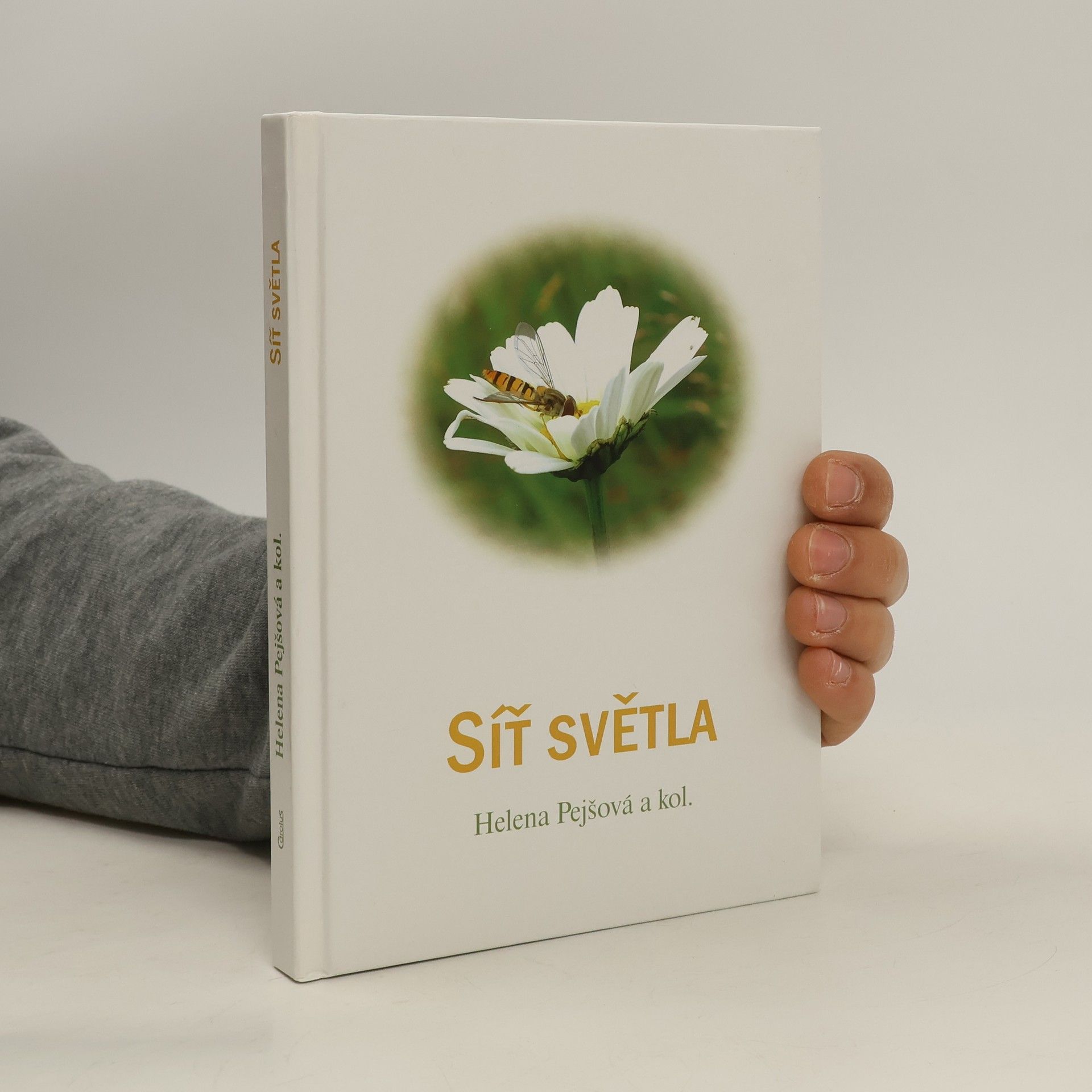 Helena Pejšová Síť světla, aneb, Co v učebnici biologie nebylo : povídání o rodném kraji, duchovním hledání a nalézání