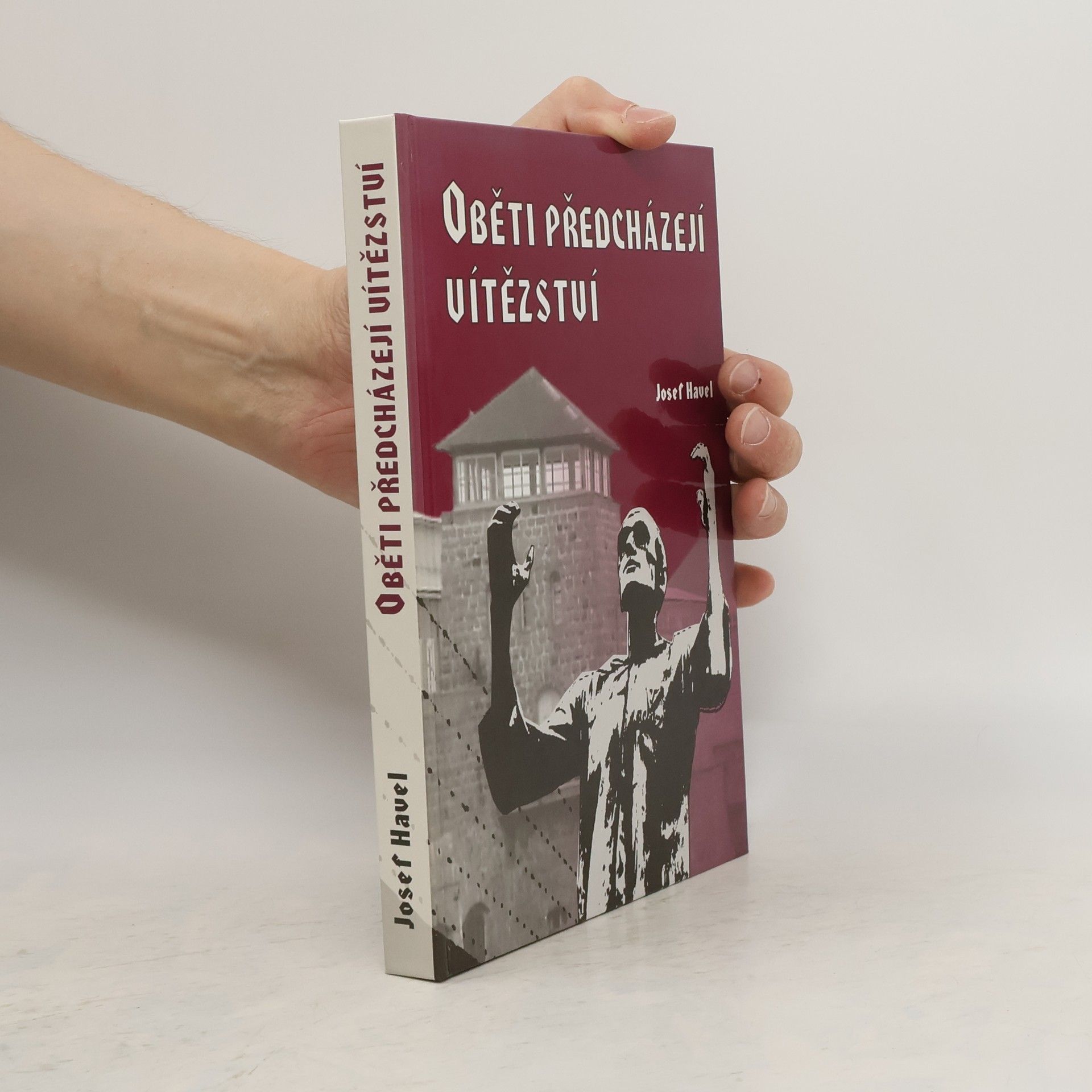 Josef Havel Oběti předcházejí vítězství