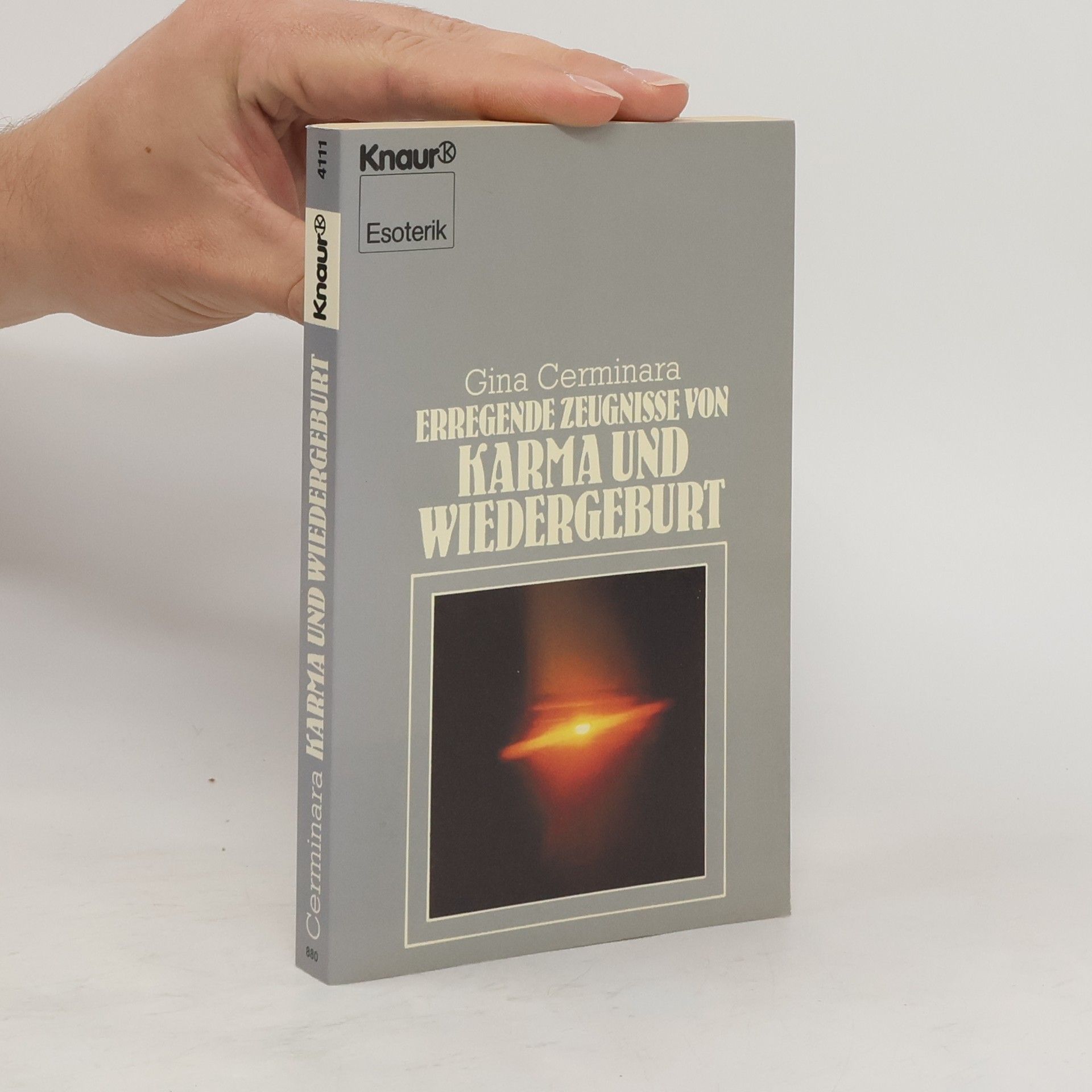 Erregende Zeugnisse von Karma und Wiedergeburt