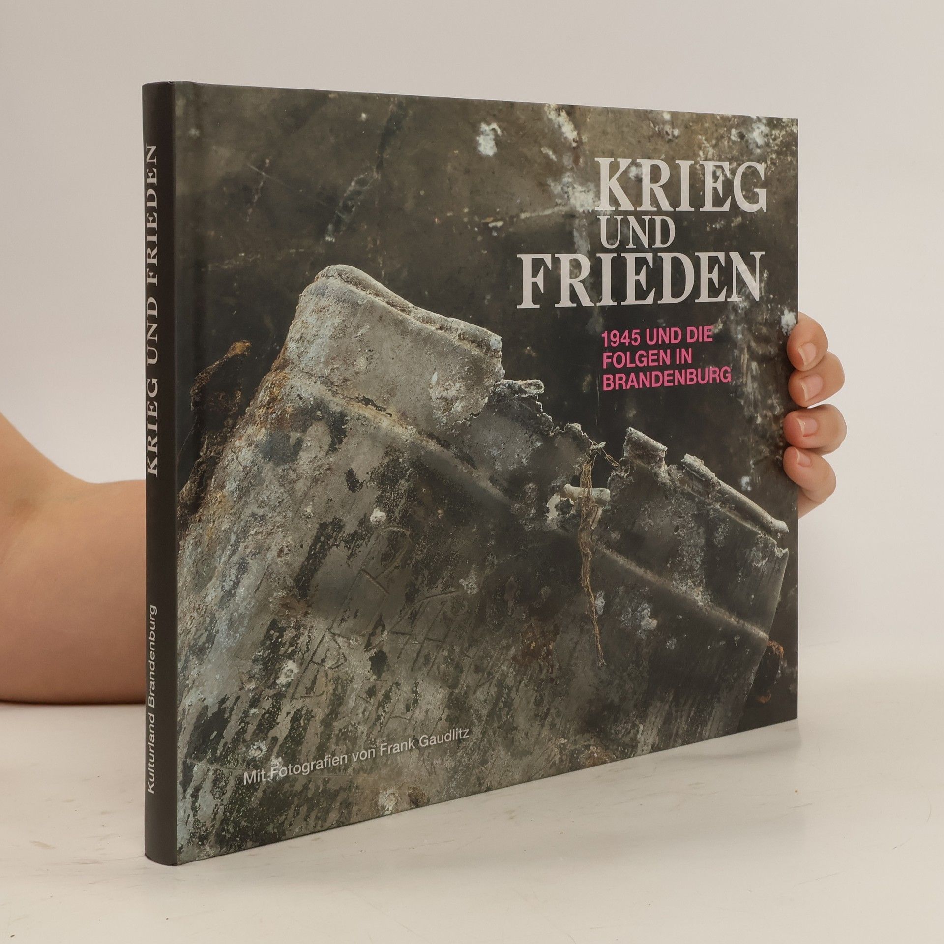Aleida Assmann KRIEG und FRIEDEN