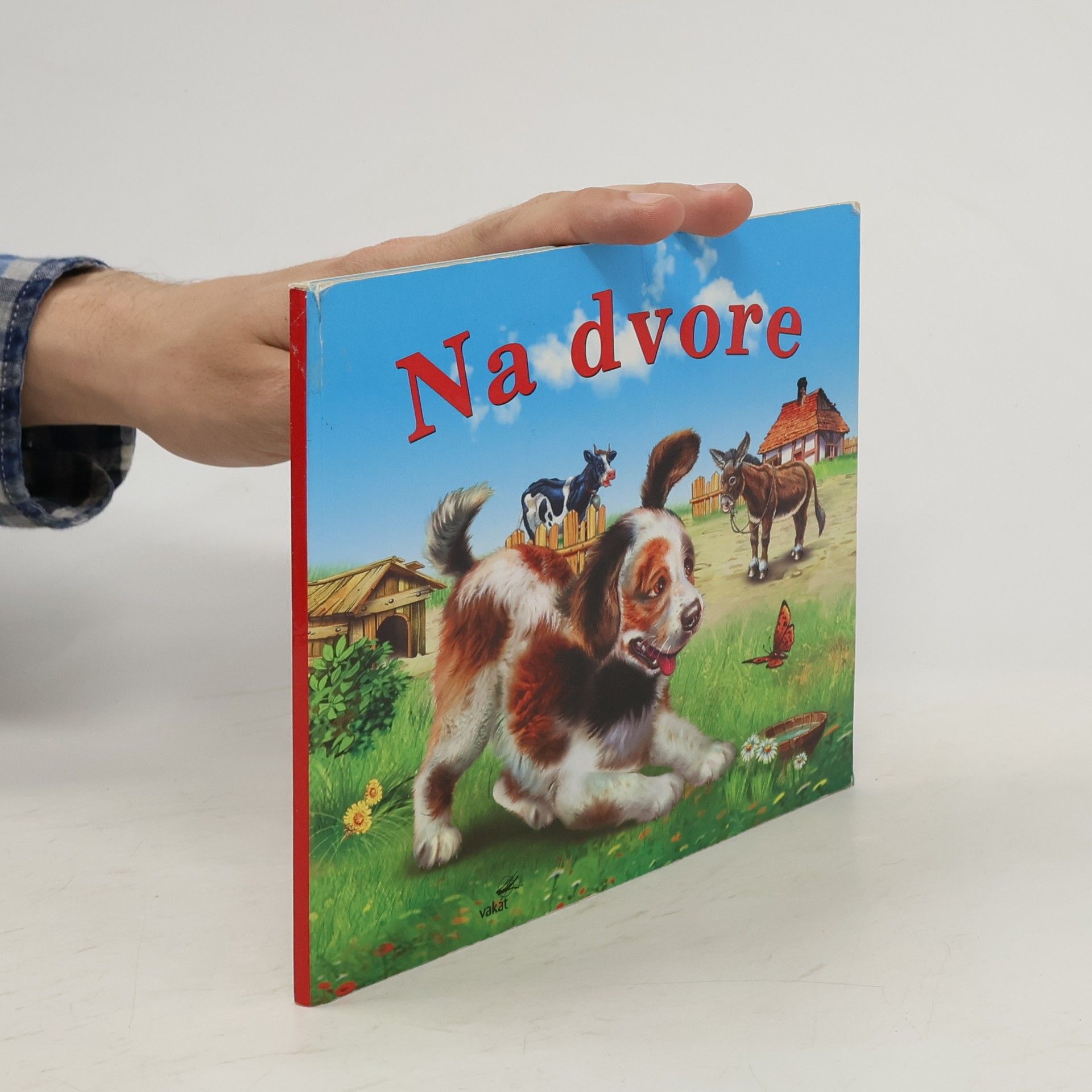 Mária Štefánková Na dvore