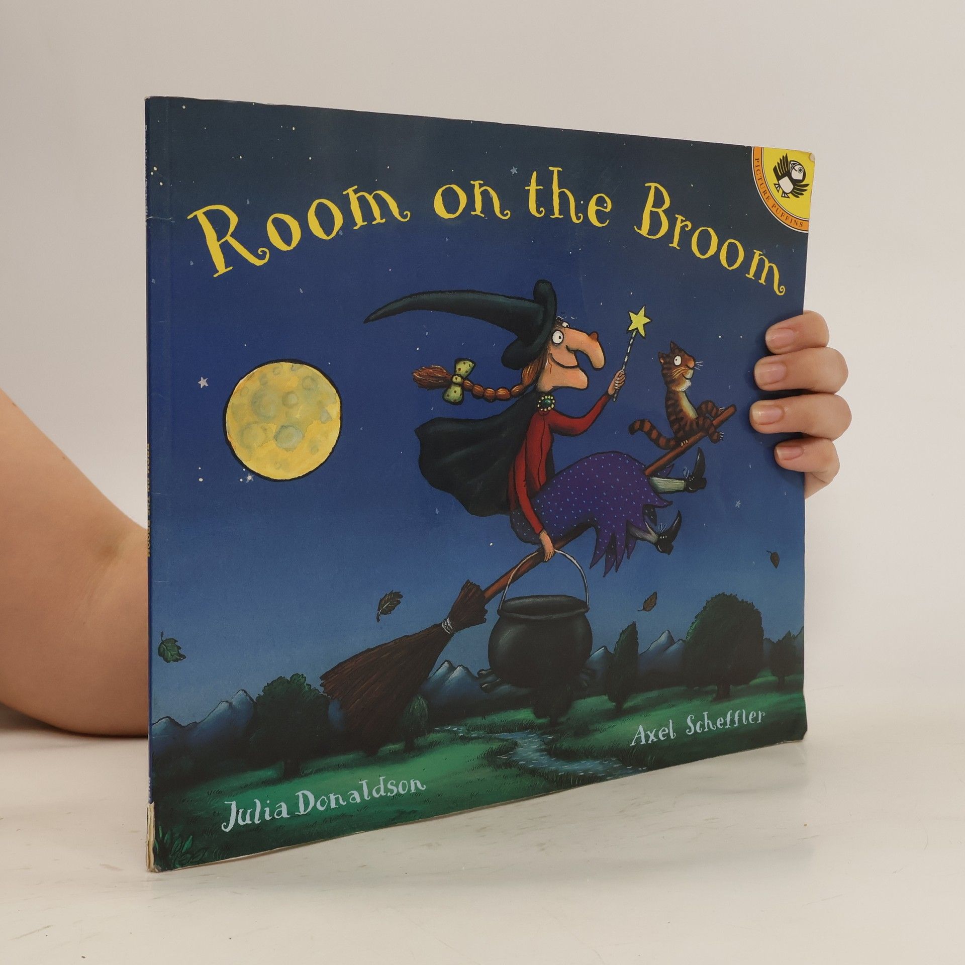Julia Donaldson Room on the Broom