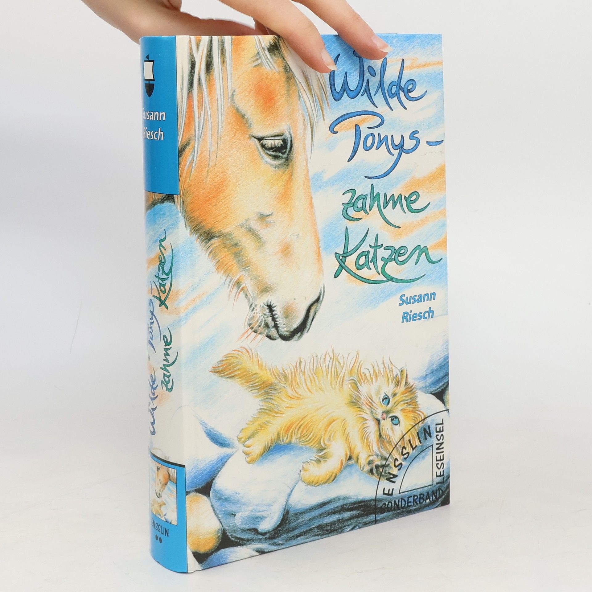 Susann Riesch Wilde Ponys - zahme Katzen