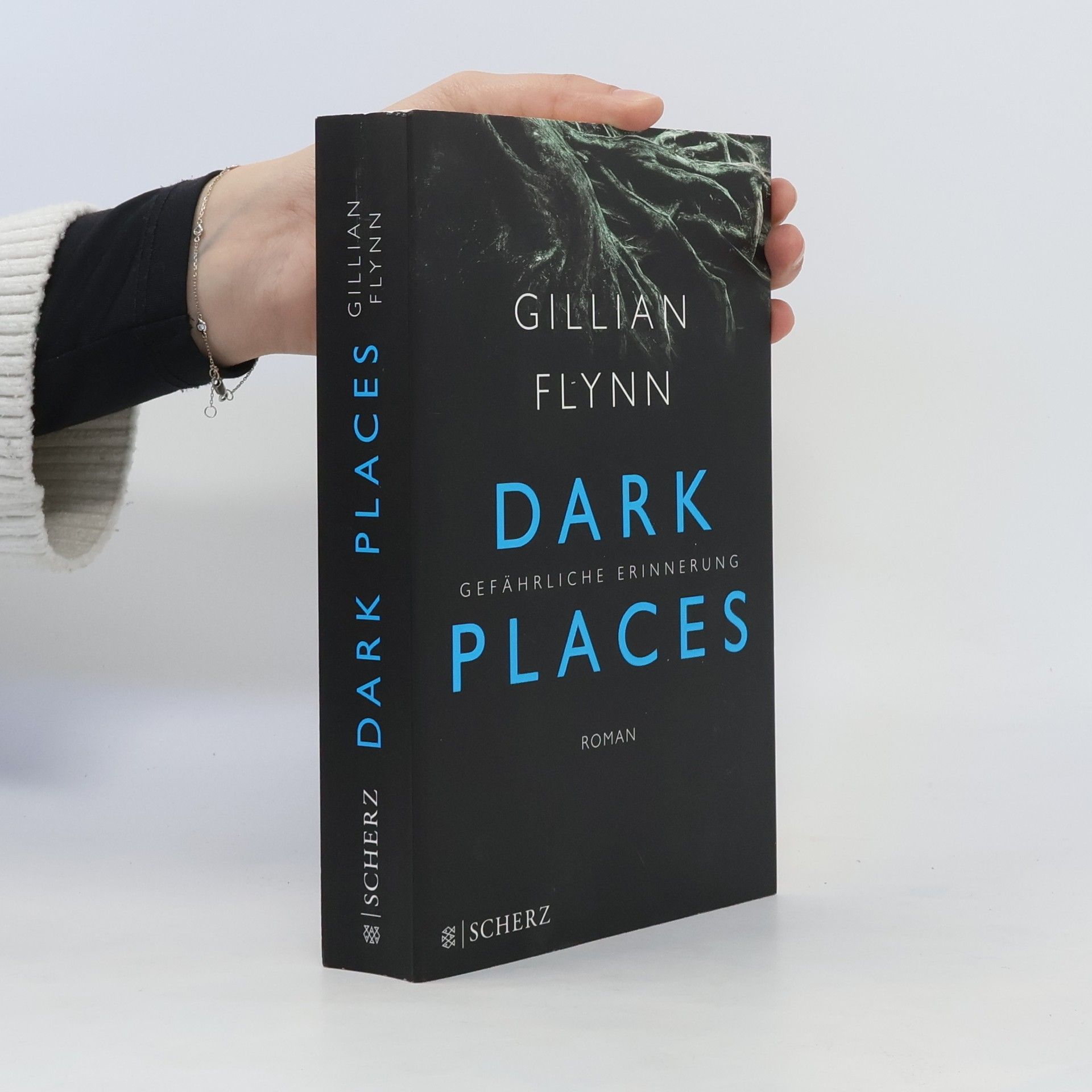 Gillian Flynn Dark places