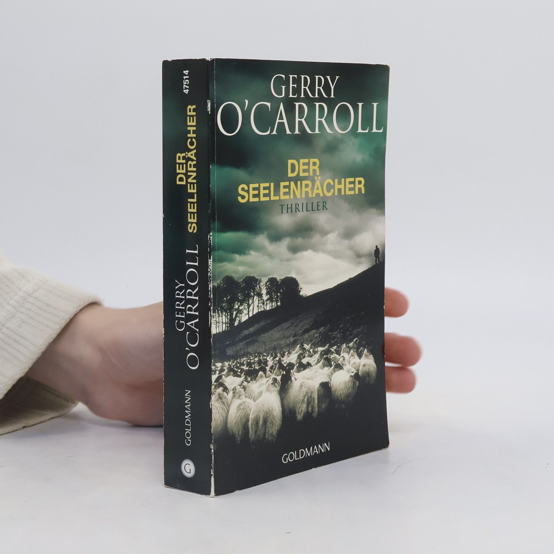 Gerry O'Carroll Der Seelenrächer