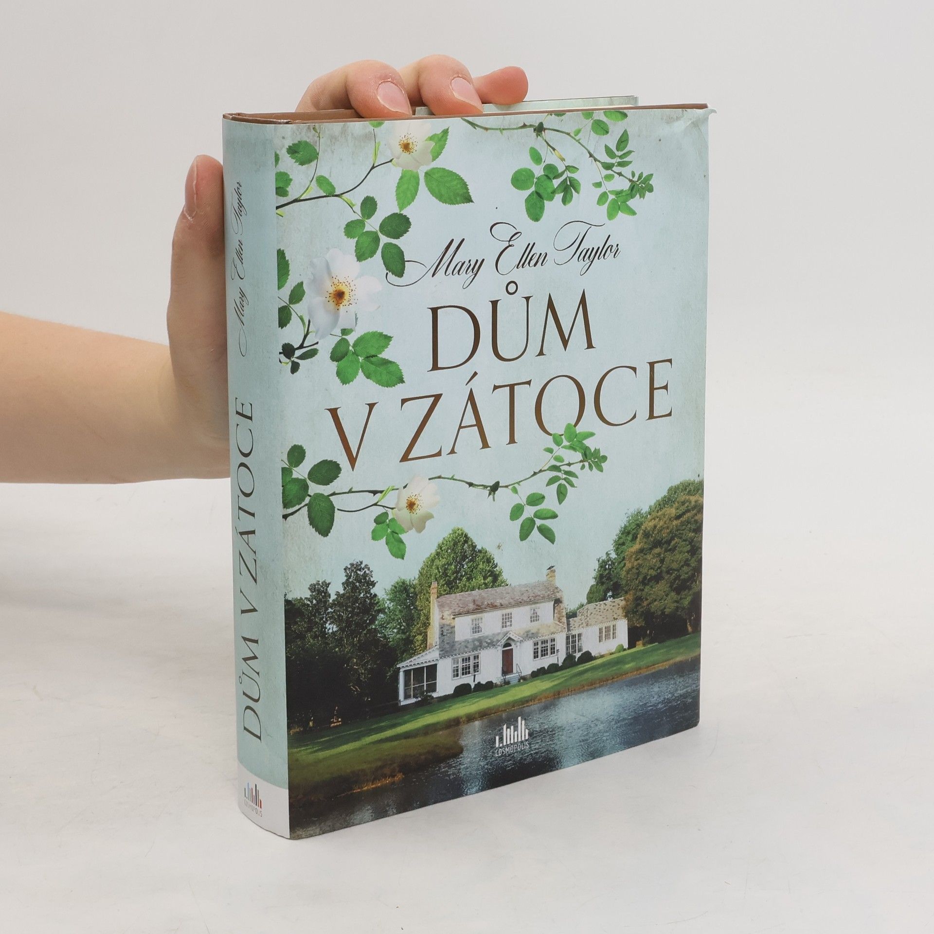 Mary Ellen Taylor Dům v zátoce