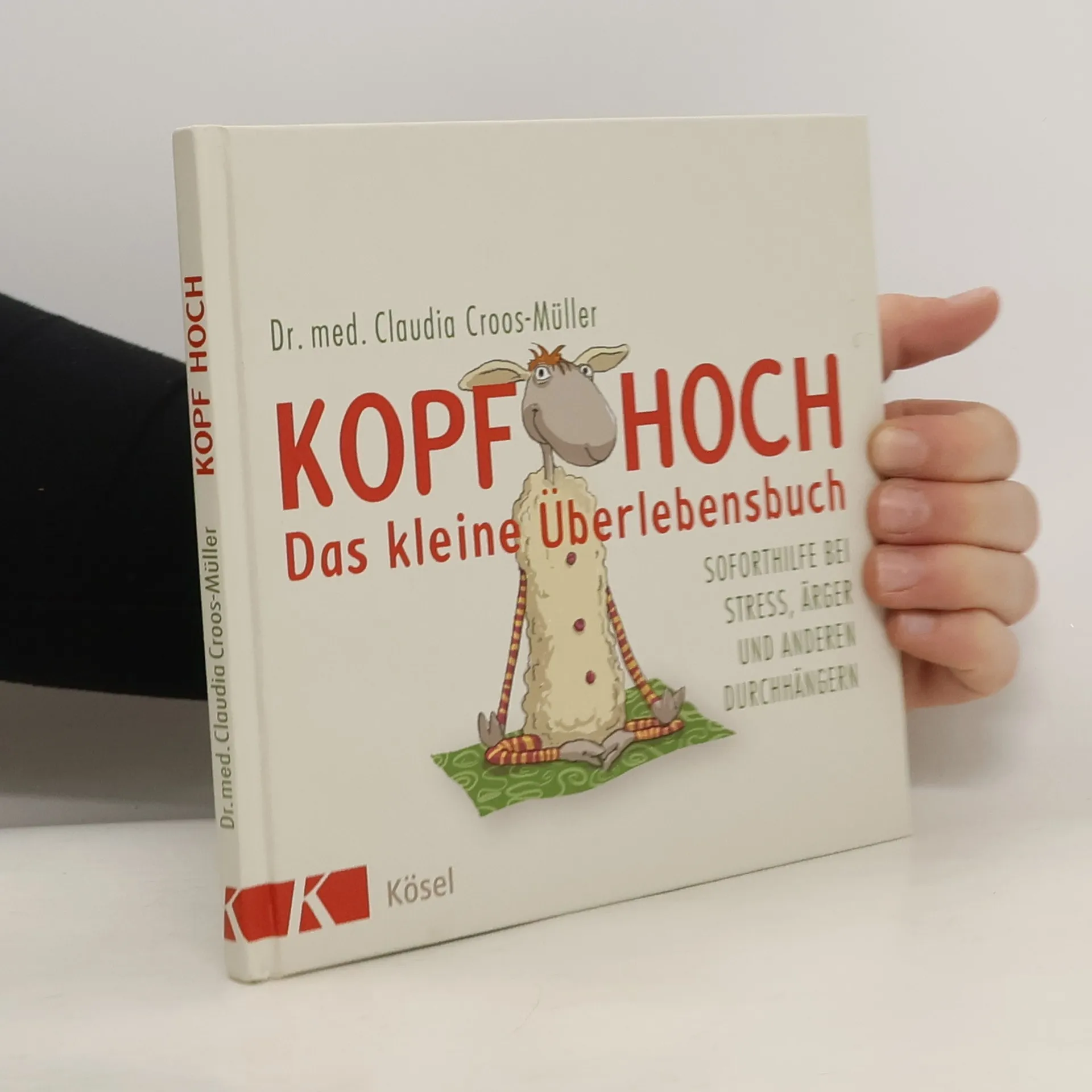 Kopf hoch - das kleine Überlebensbuch | Kniha | Claudia Cross-Müller | DE