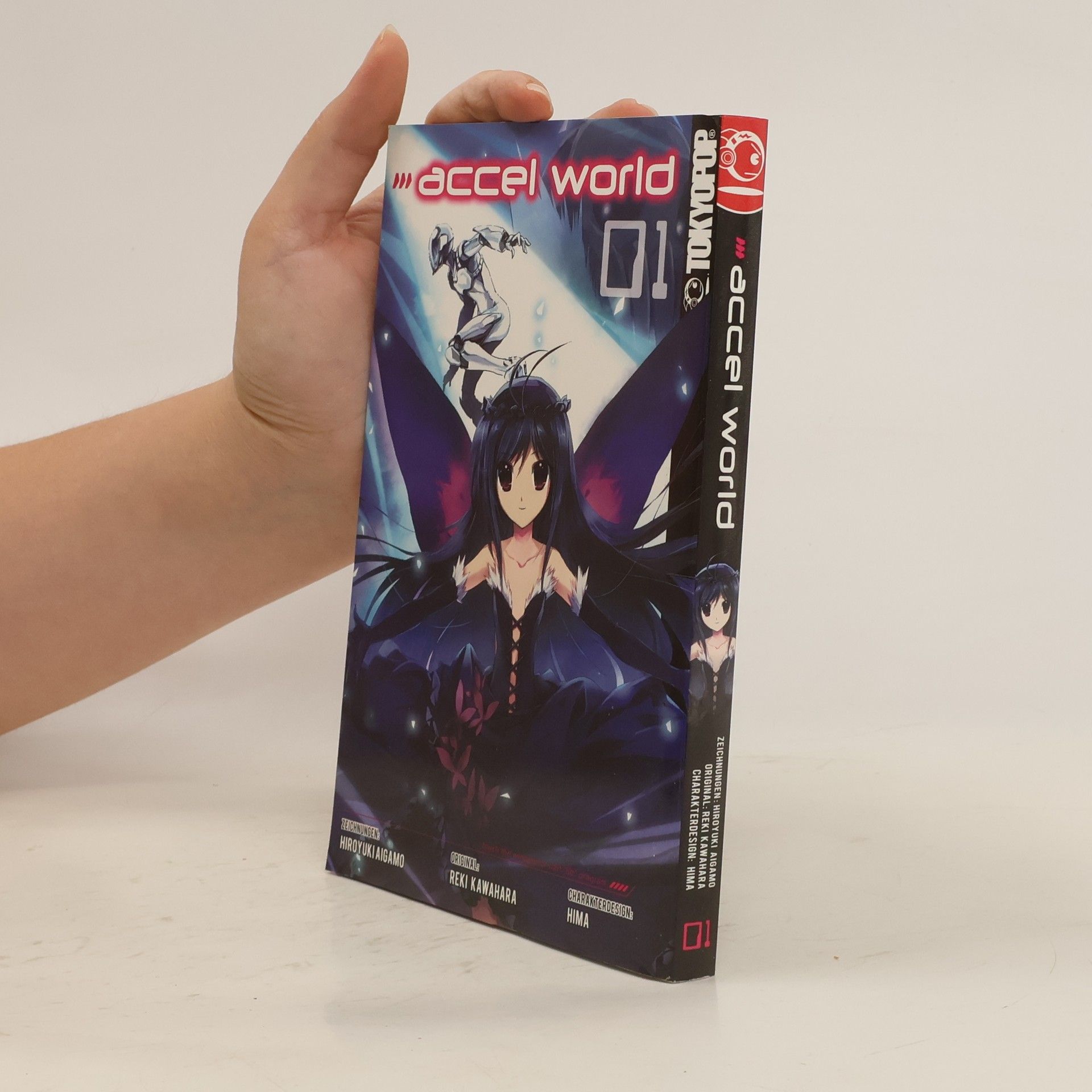 Hiroyuki Aigamo Accel world