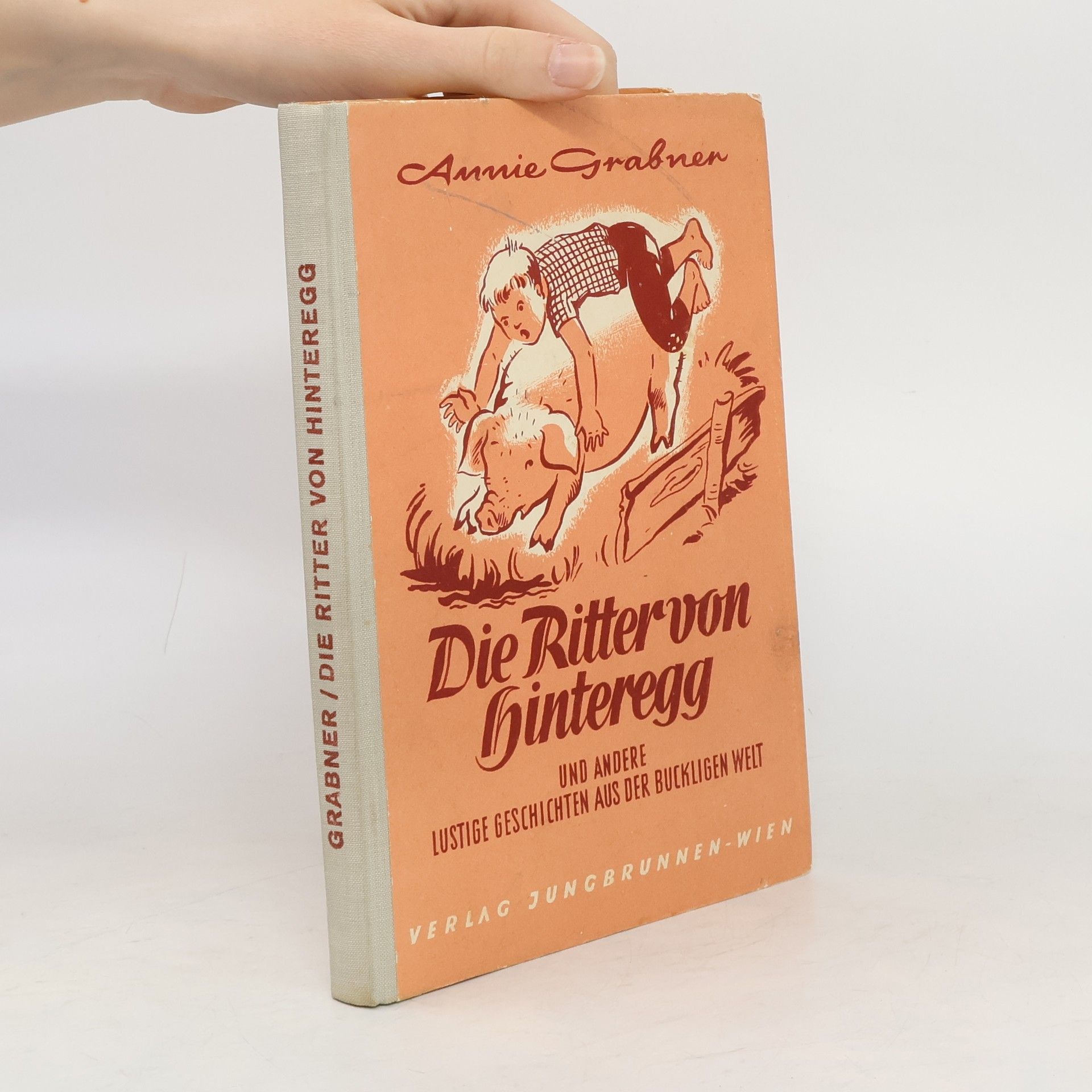 Die Ritter von Hinteregg