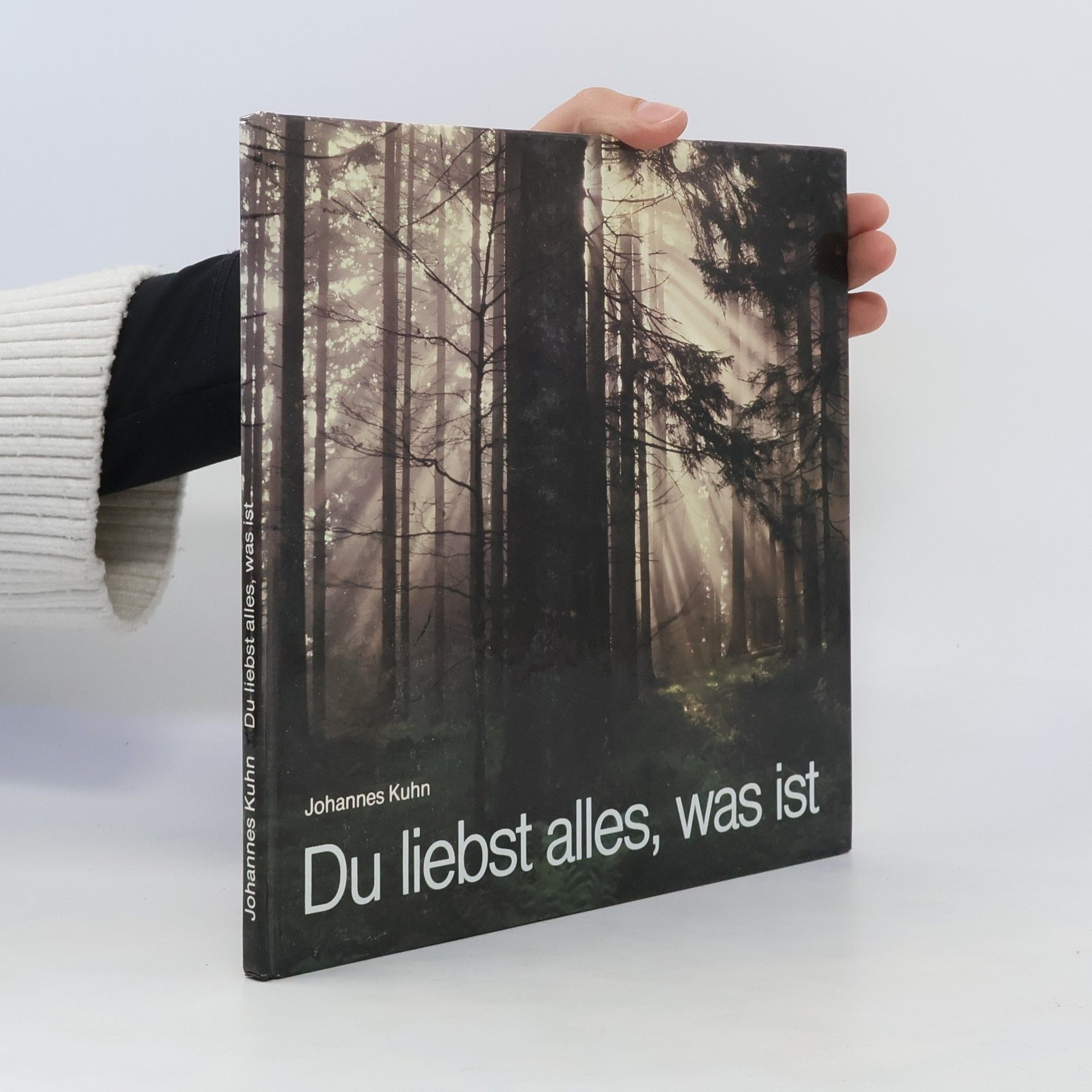 Johannes Kühn Du liebst alles, was ist