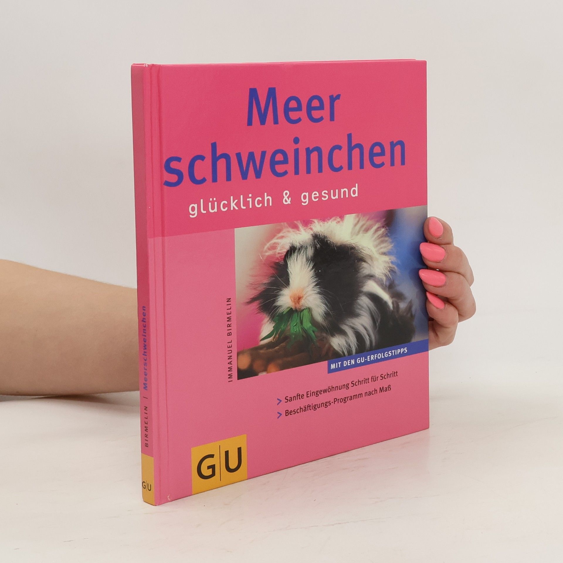 Immanuel Birmelin Meerschweinchen