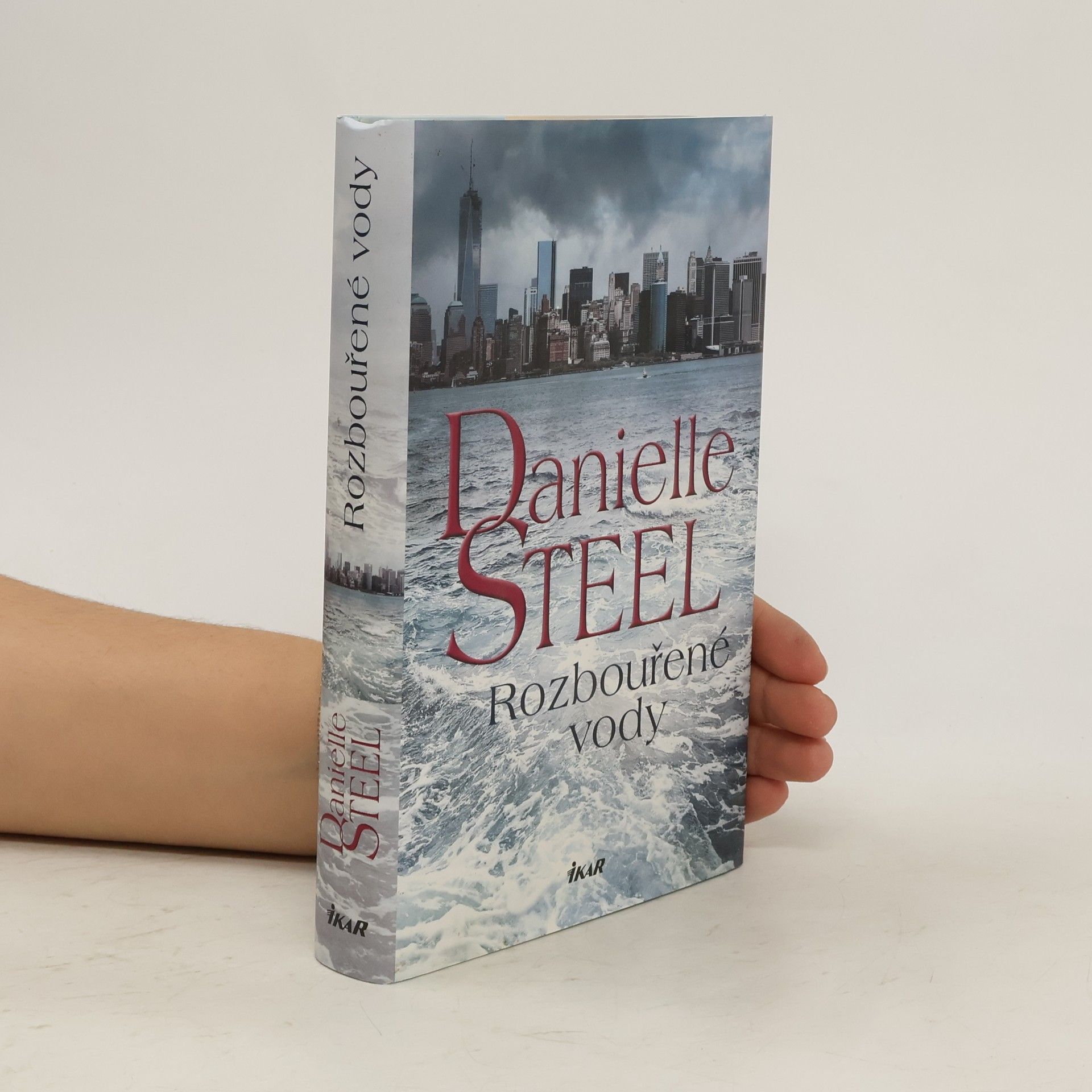 Danielle Steel Rozbouřené vody