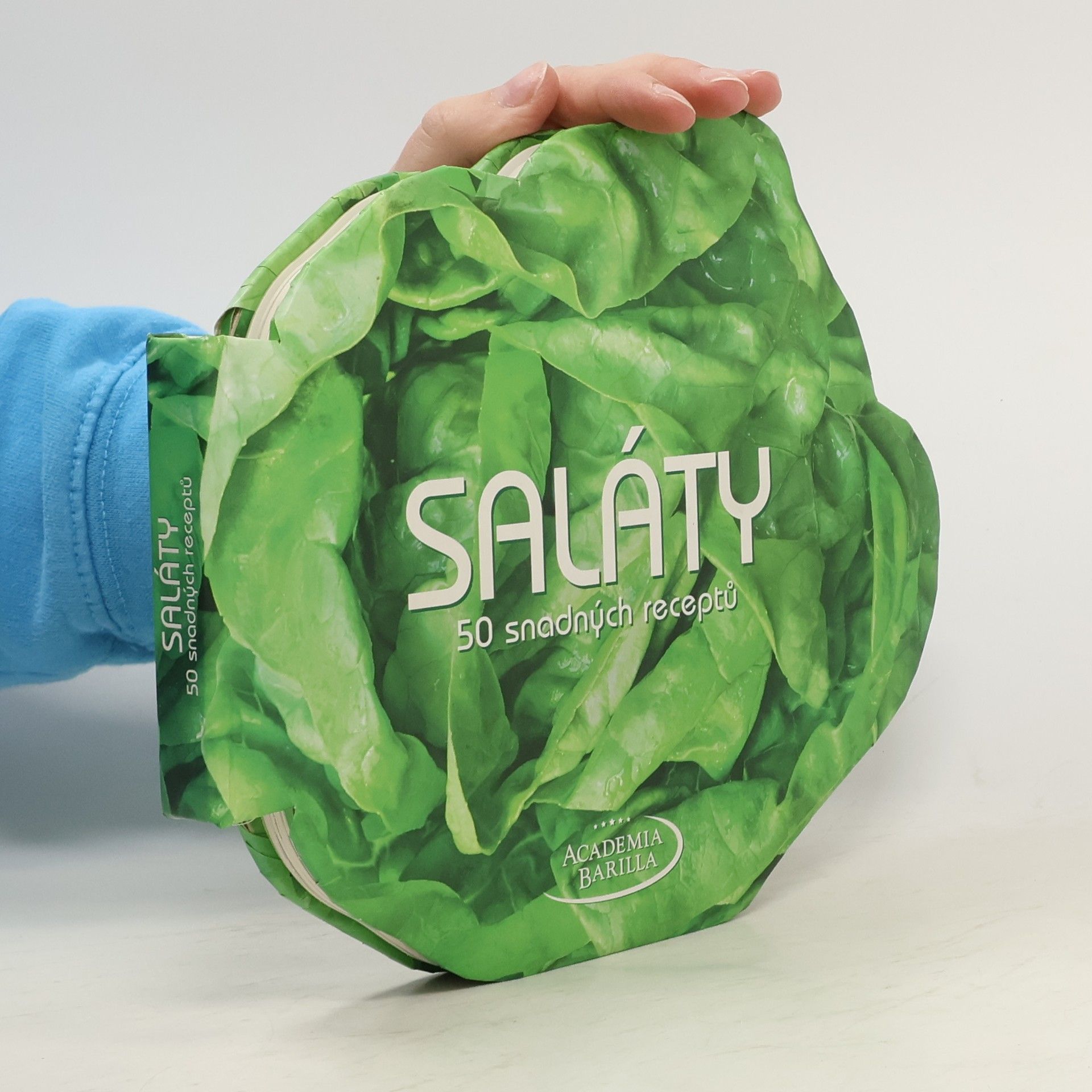 Maria Grazia Villa Saláty. 50 snadných receptů