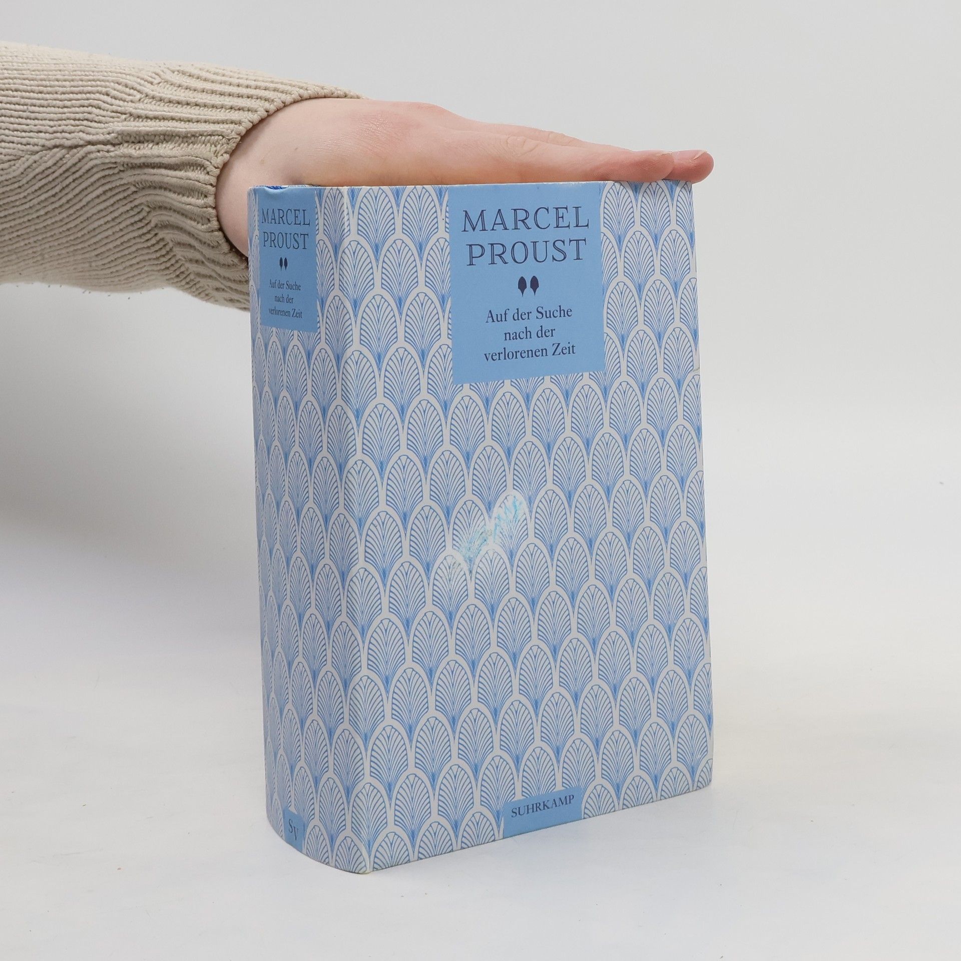 Marcel Proust Unterwegs zu Swann