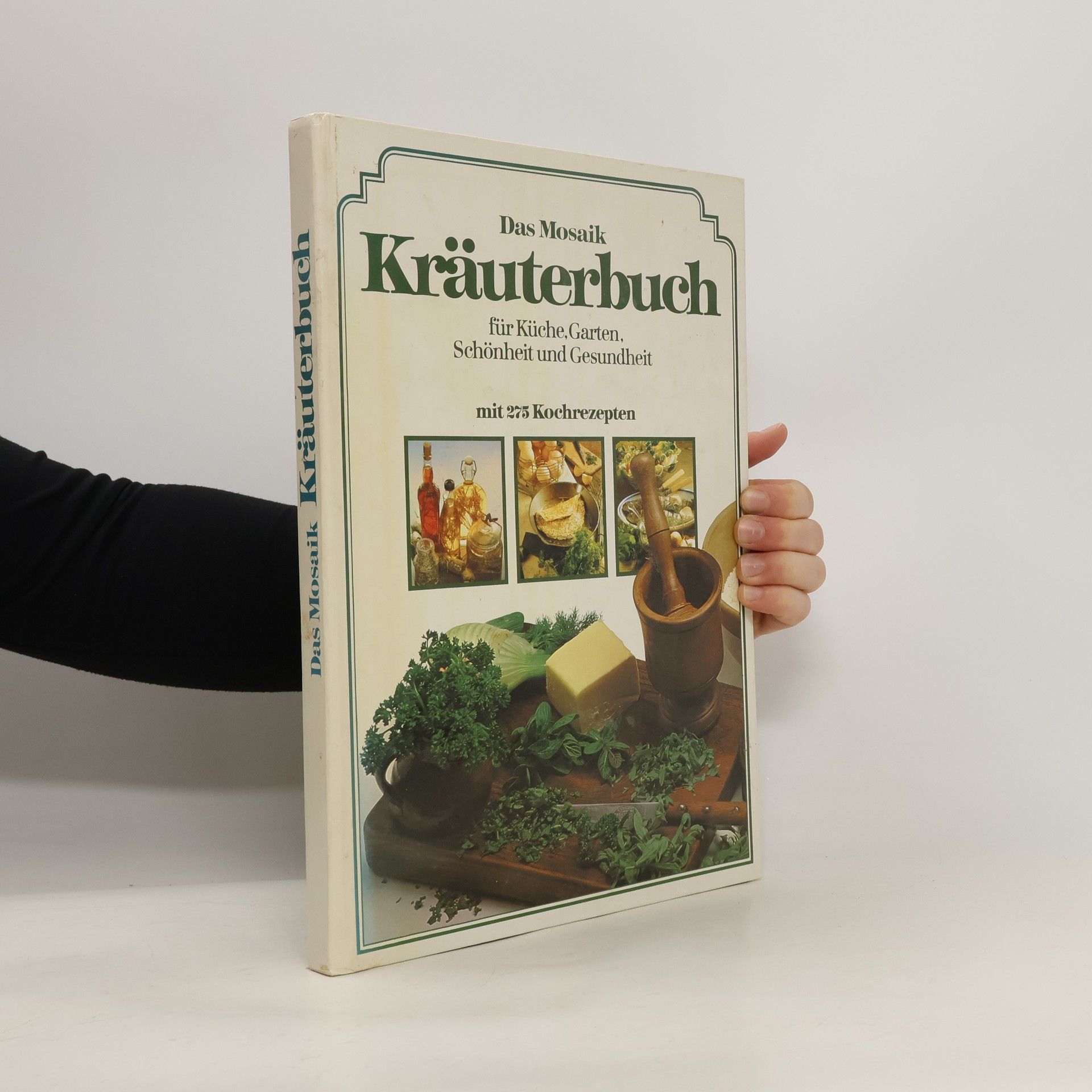 Autorenkollektiv Das Mosaik Kräuterbuch