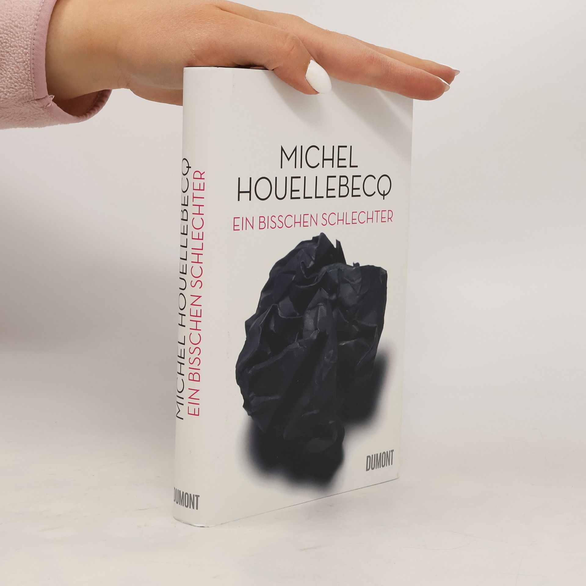 Michel Houellebecq Ein bisschen schlechter
