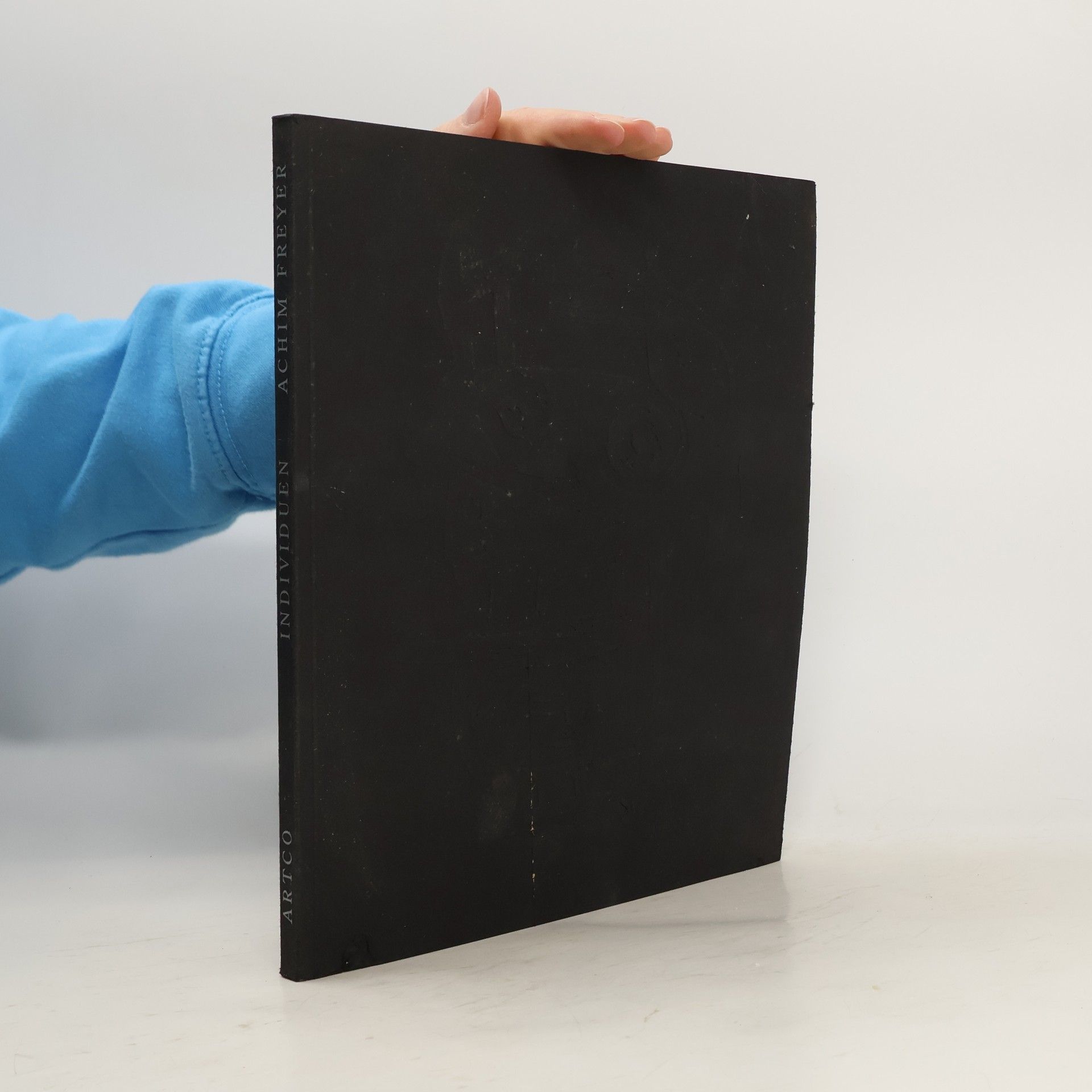 Achim Freyer Individuen, Bilder, Plastiken