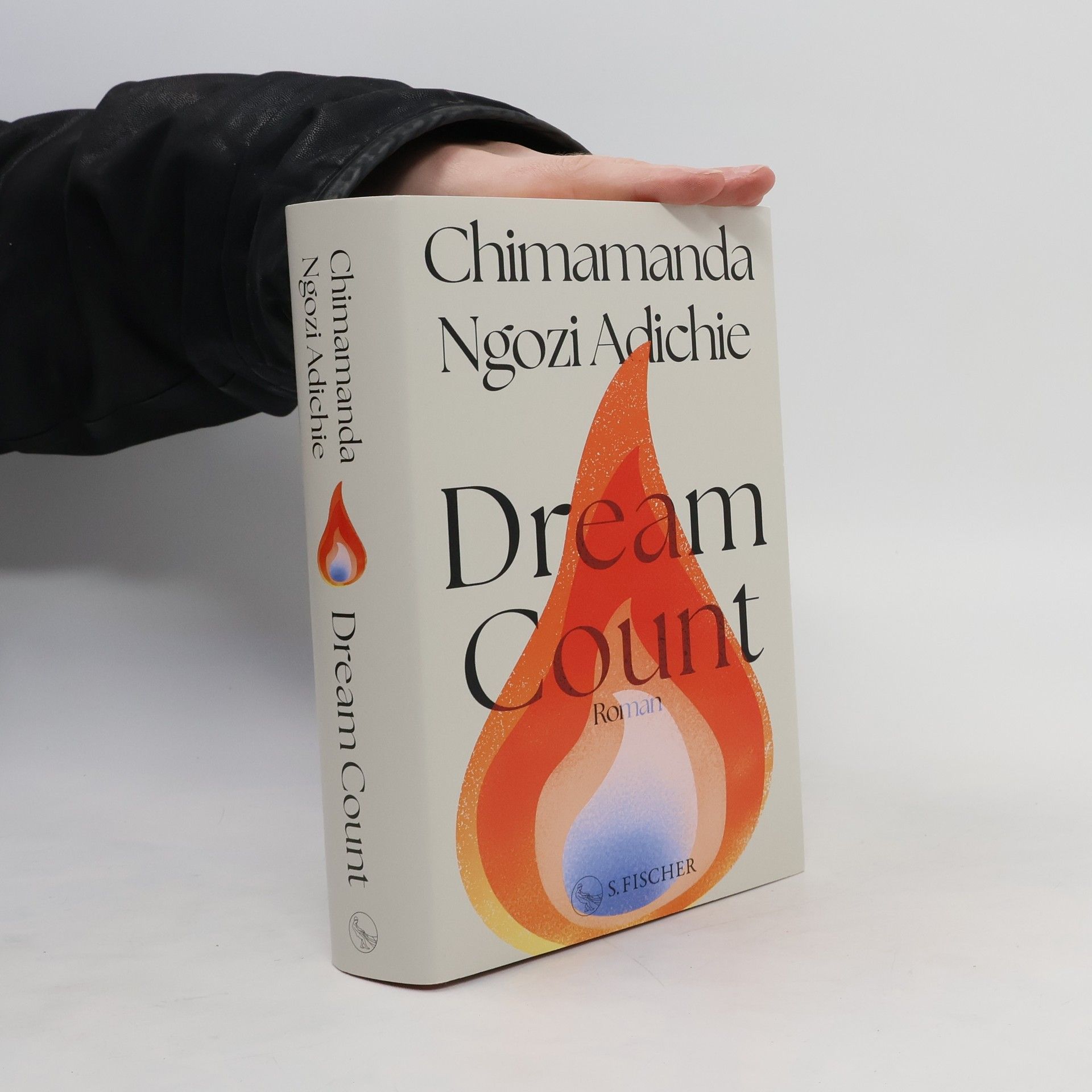 Chimamanda Ngozi Adichie Dream Count