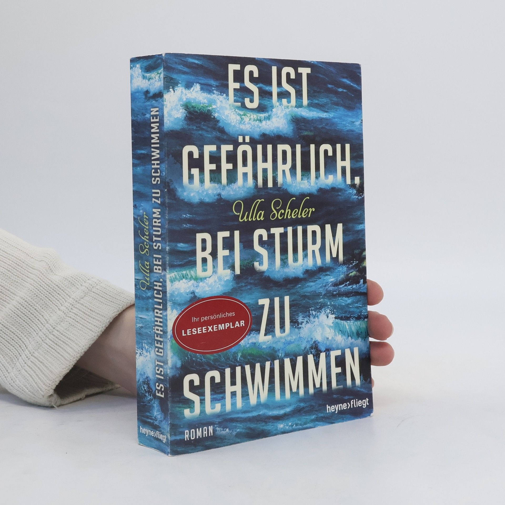 Ulla Scheler Es ist gefährlich, bei Sturm zu schwimmen