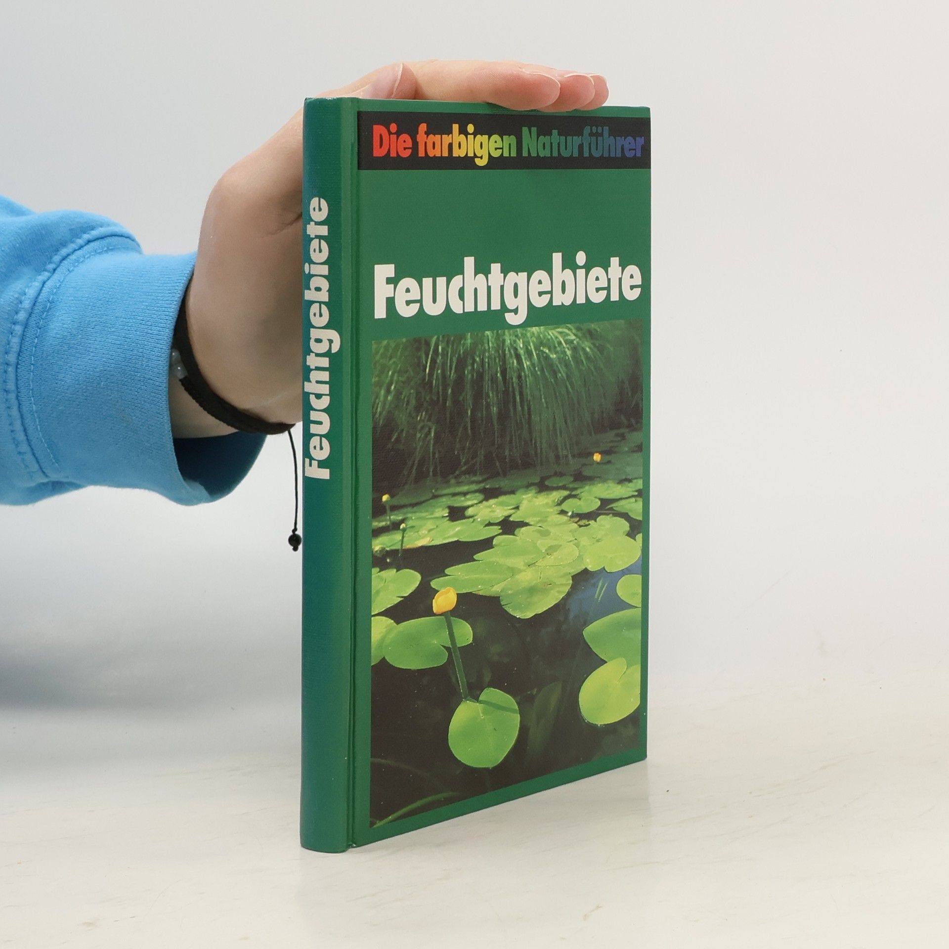 kolektiv Feuchtgebiete