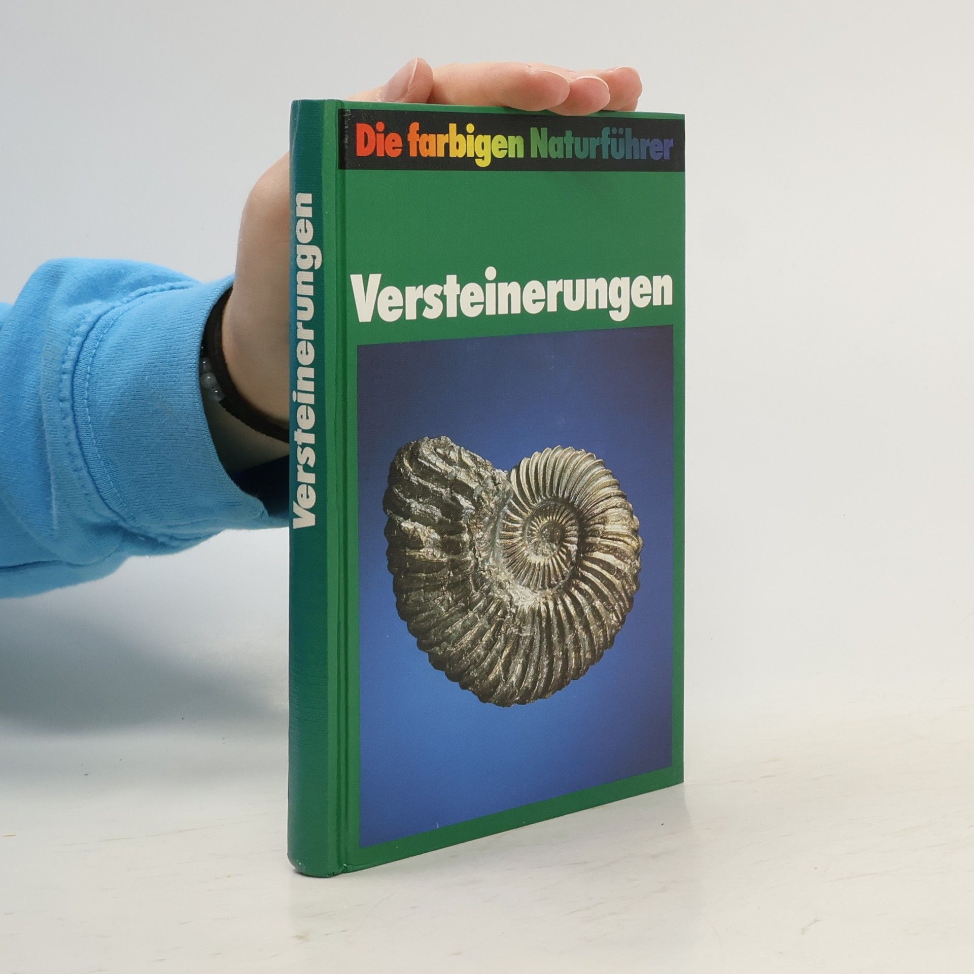 Karl Beurlen Versteinerungen