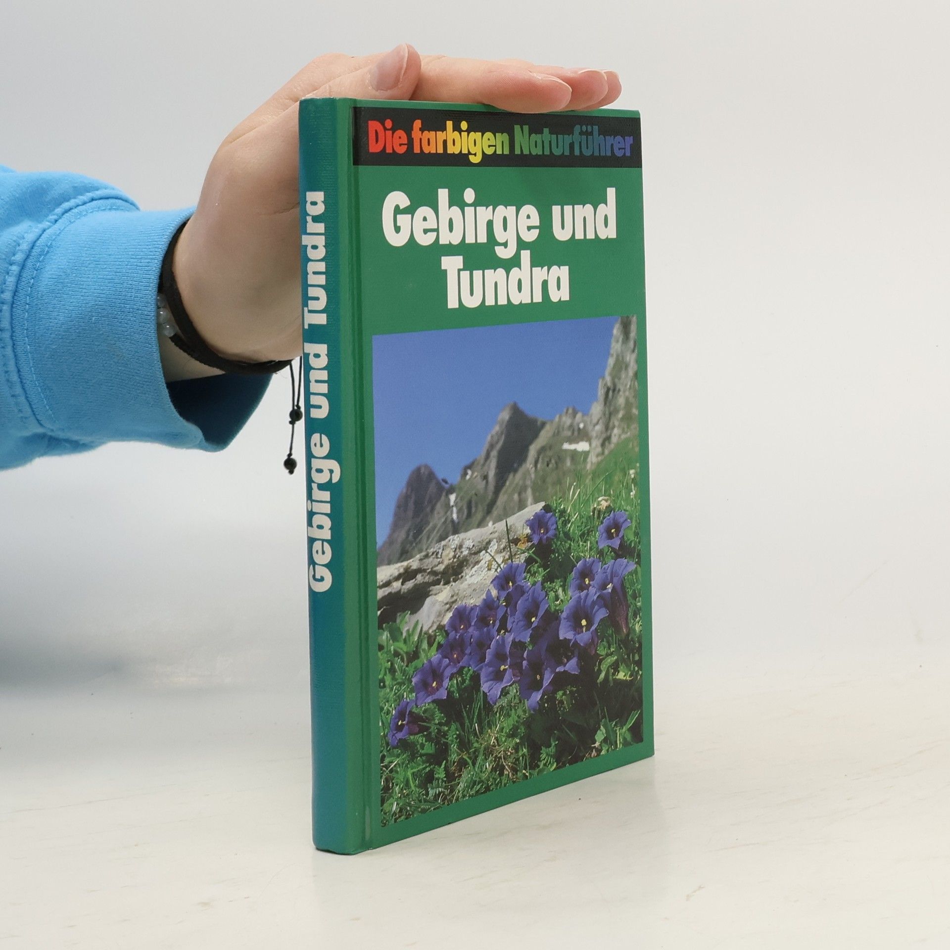 Autorenkollektiv Gebirge und Tundra