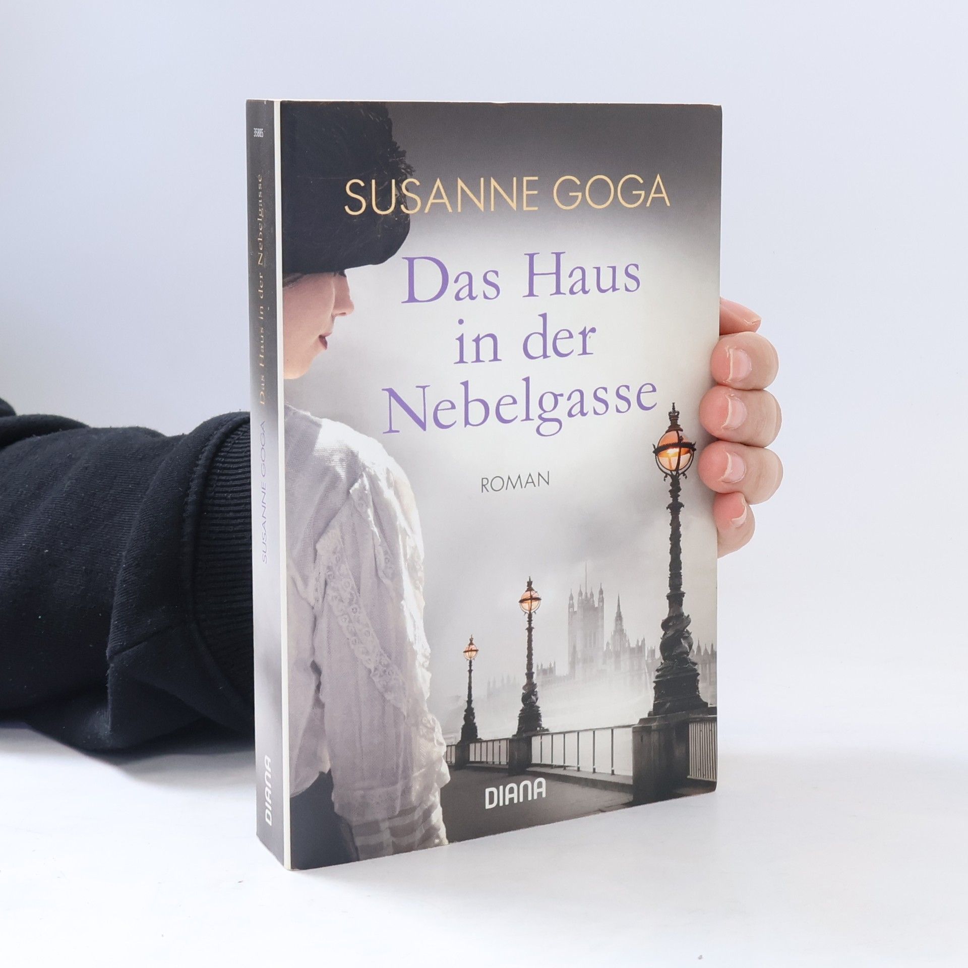 Susanne Goga Das Haus in der Nebelgasse