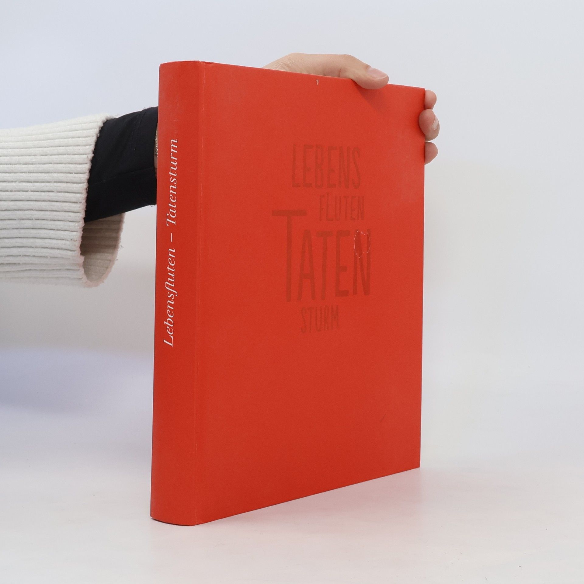 Wolfgang Holler Lebensfluten - Tatensturm