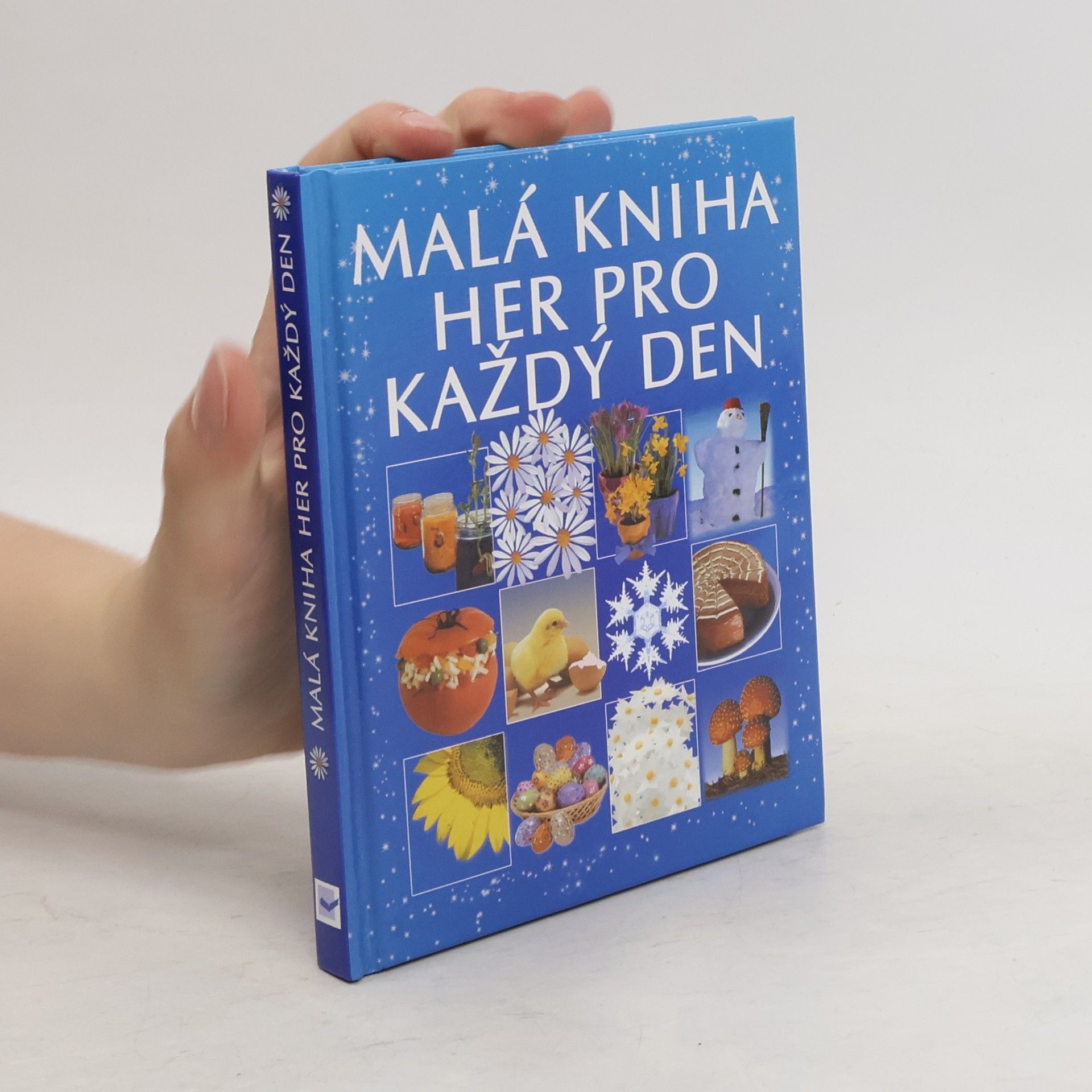 Angela Wilkes Malá kniha her pro každý den