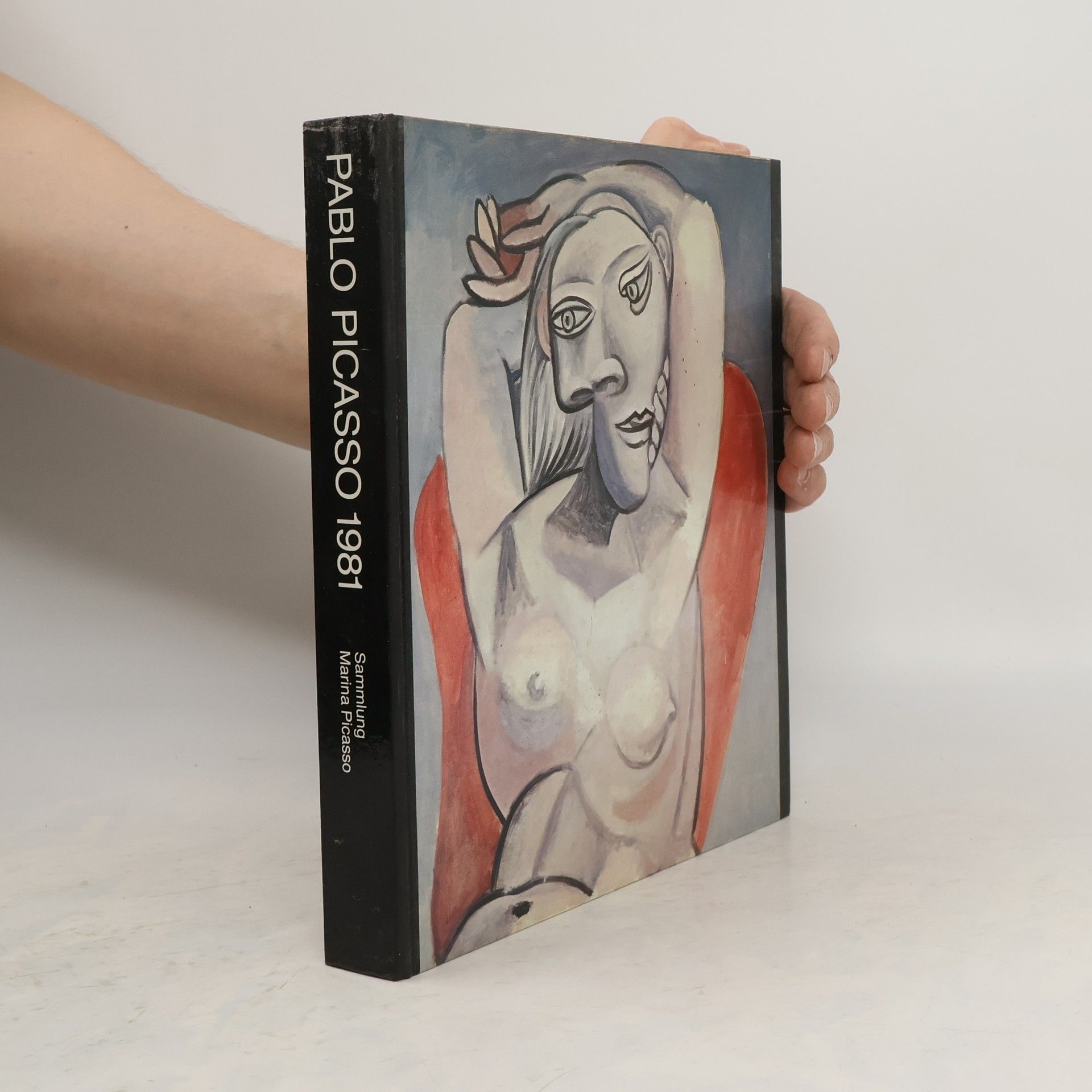 Autorenkollektiv Pablo Picasso