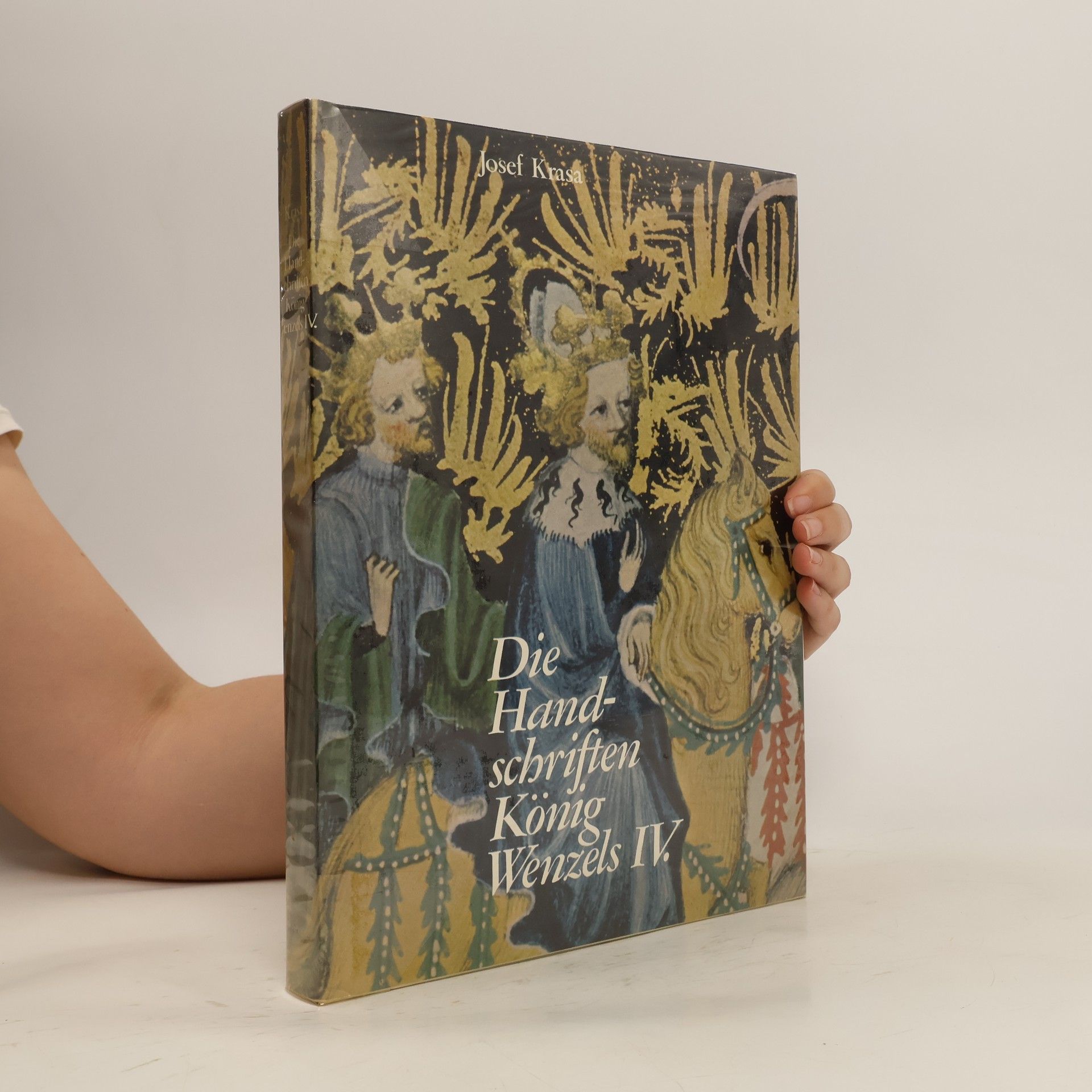 Autorenkollektiv Die Handschriften König Wenzels IV.
