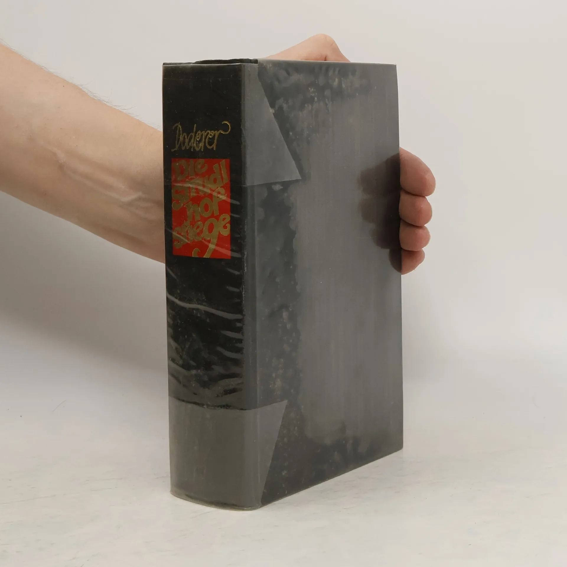 Die Strudlhofstiege oder Melzer und die Tiefe der Jahre | Buch | Hardcover | Heimito von Doderer