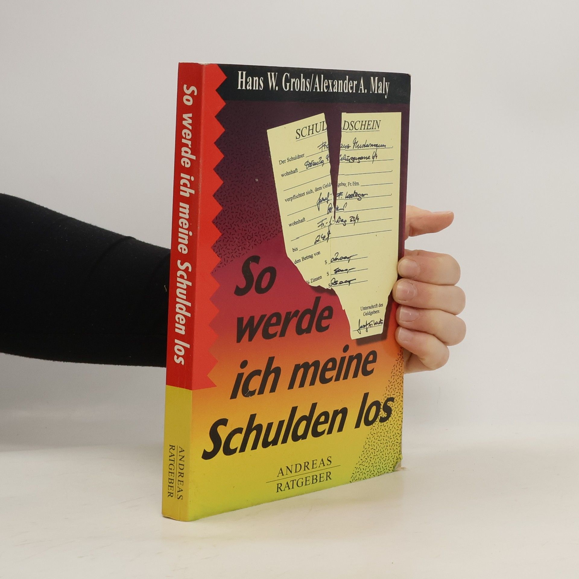 Hans W. Grohs So werde ich meine Schulden los